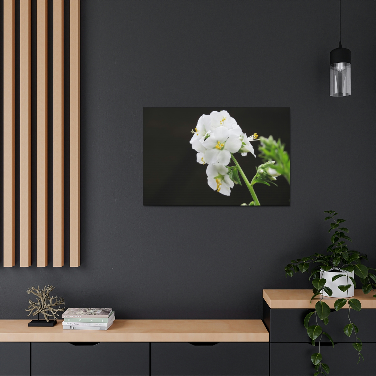 Snowdrops of Spring - Image 4