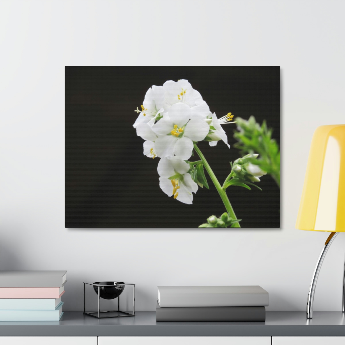 Snowdrops of Spring - Image 19