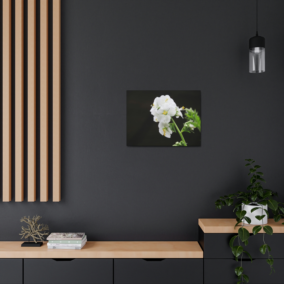 Snowdrops of Spring - Image 20