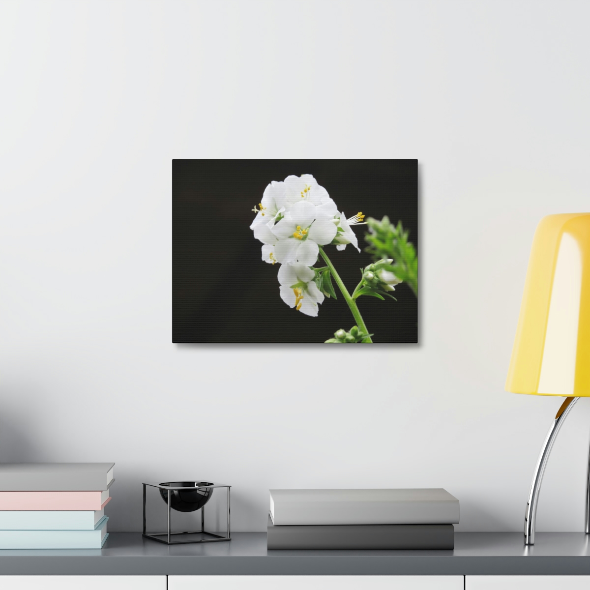 Snowdrops of Spring - Image 15