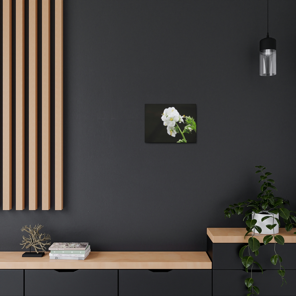 Snowdrops of Spring - Image 16