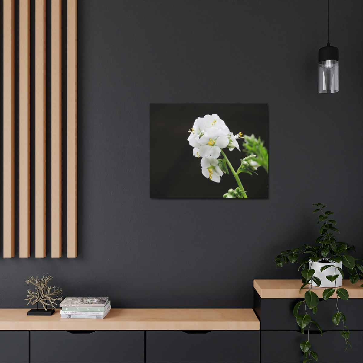 Snowdrops of Spring - Image 24