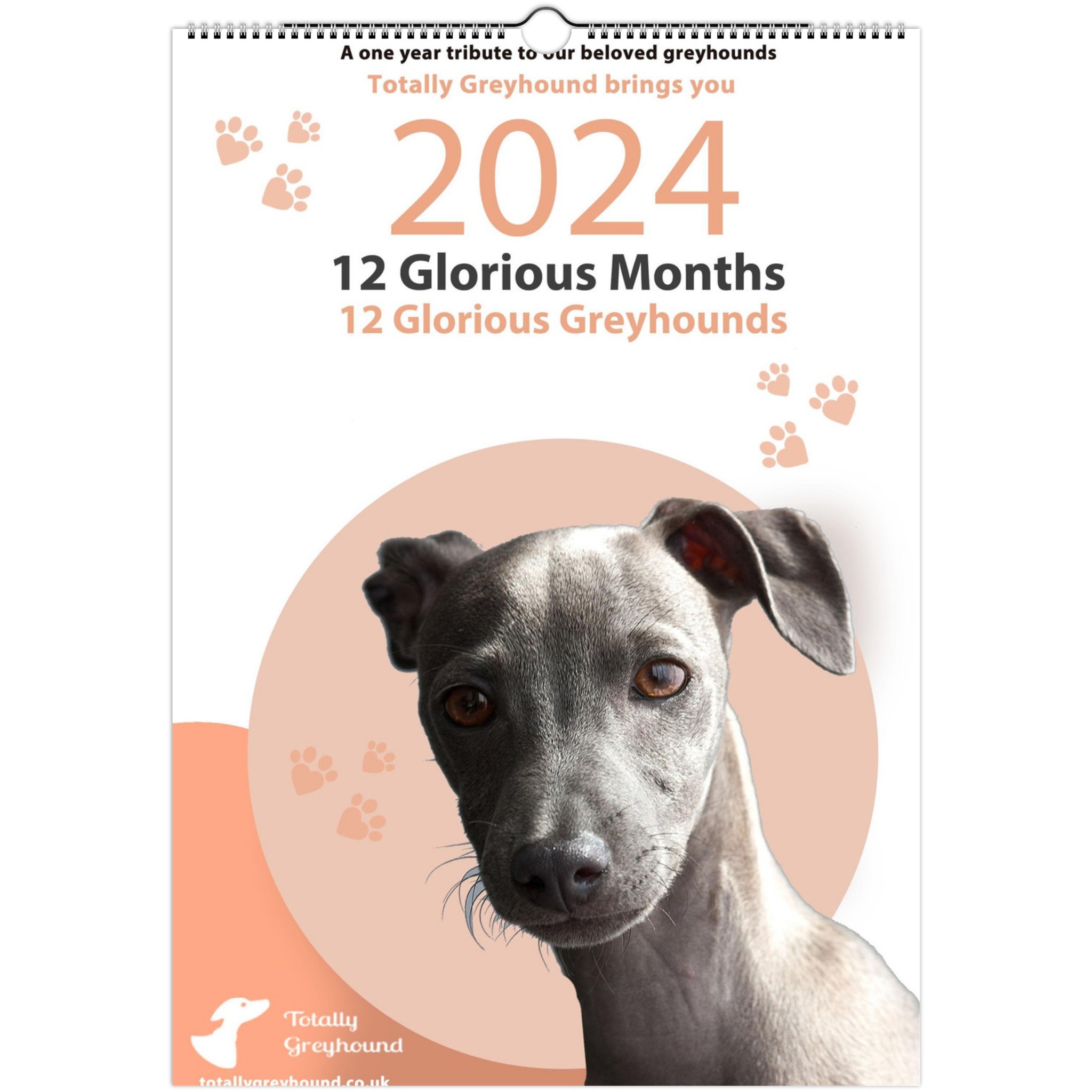 3bc7db50-ee0c-4232-aa5a-0475814d4b4f