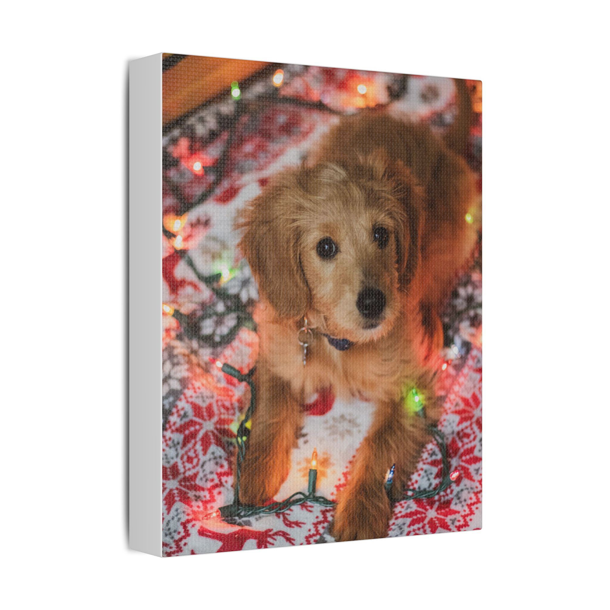 It Wasn't Me! - Image 14