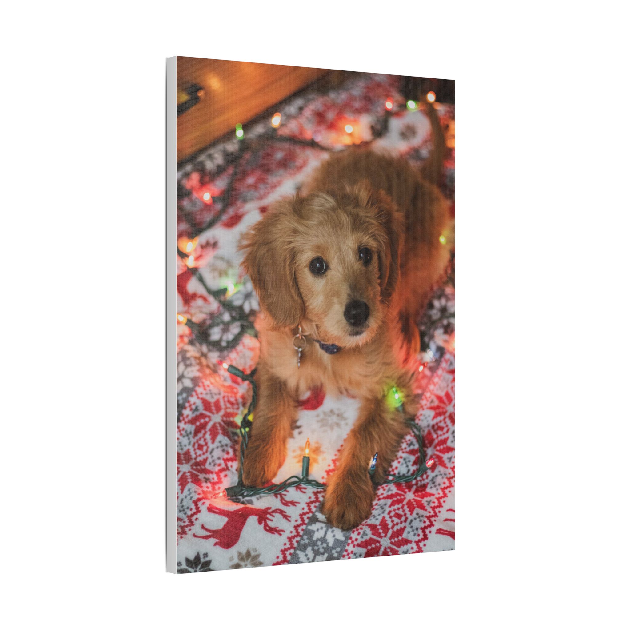 It Wasn't Me! - Image 2