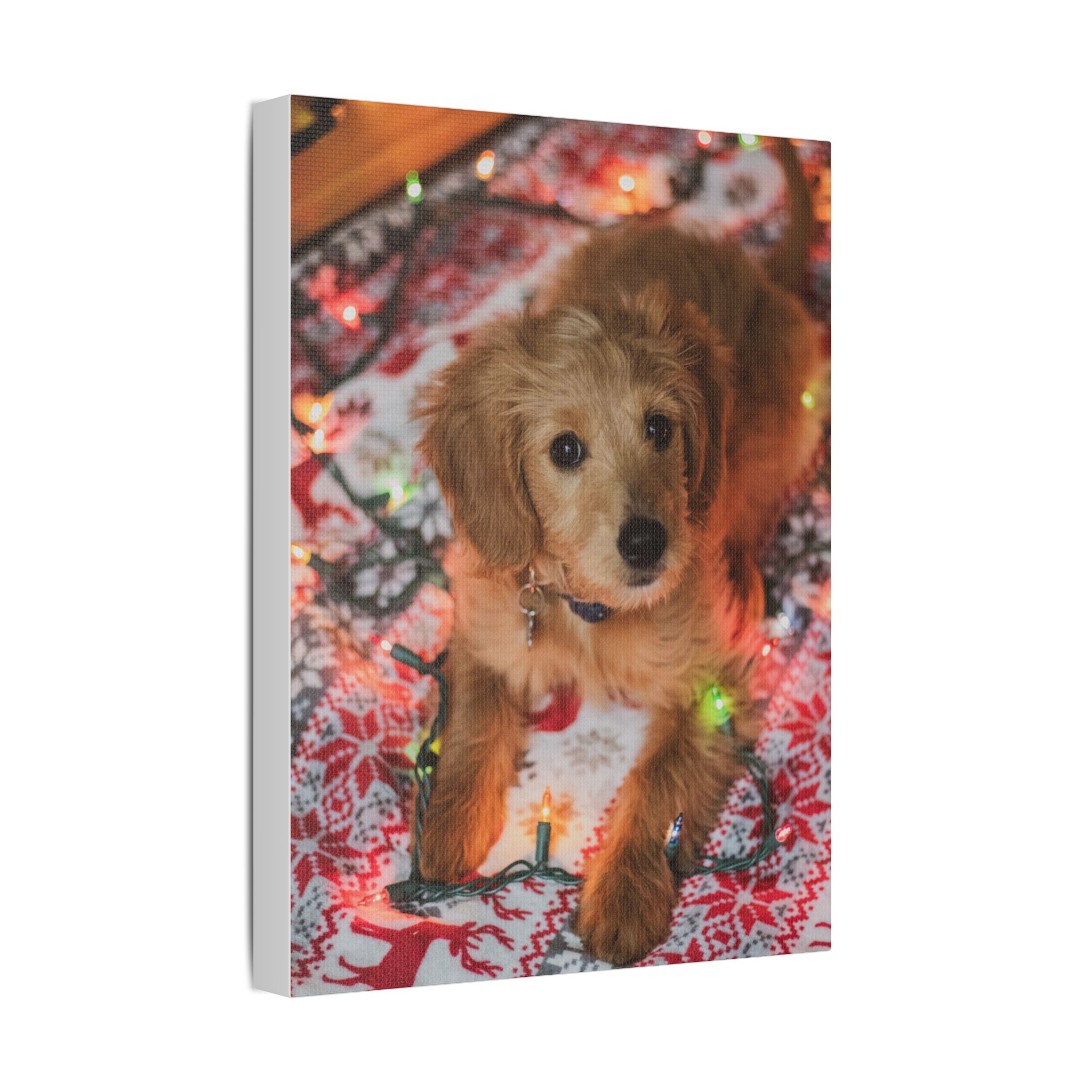 It Wasn't Me! - Image 18