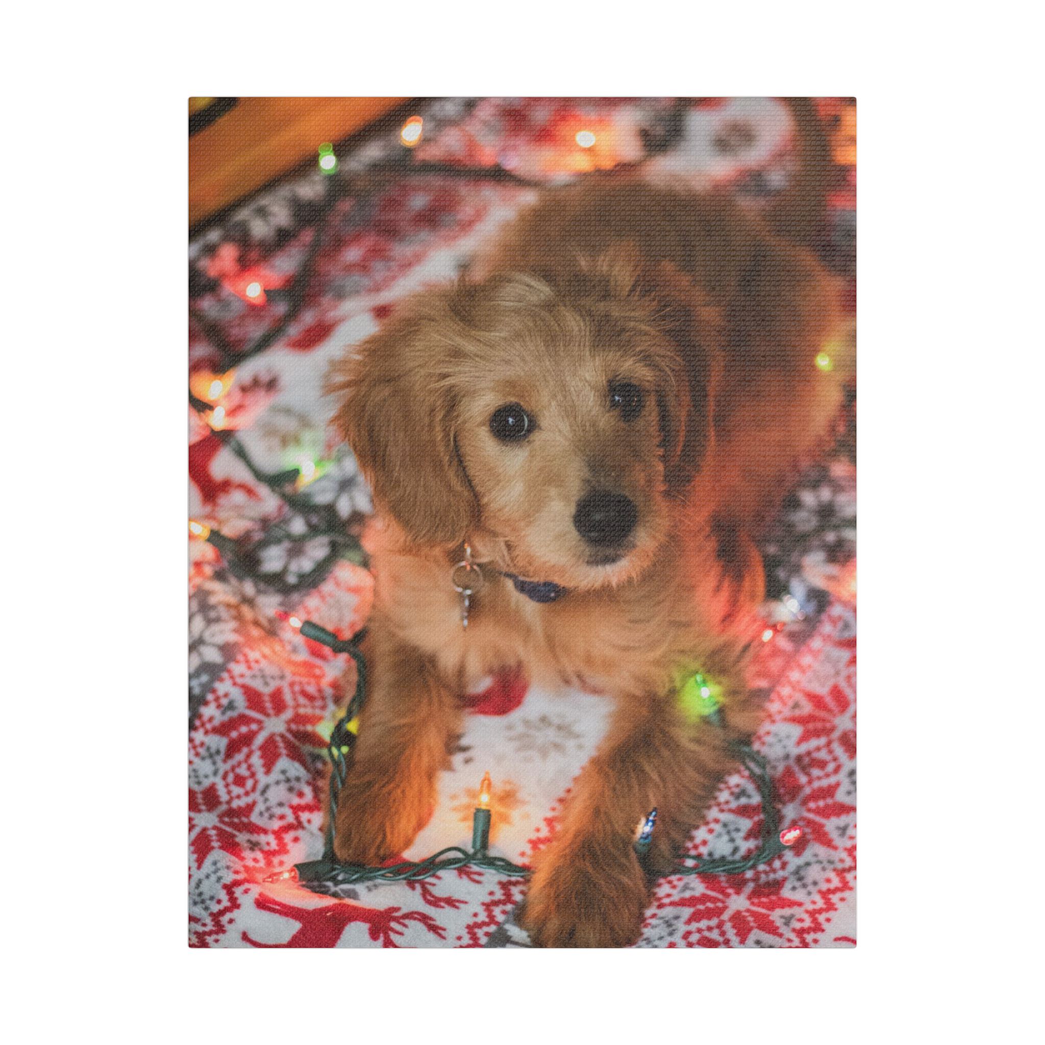 It Wasn't Me! - Image 5