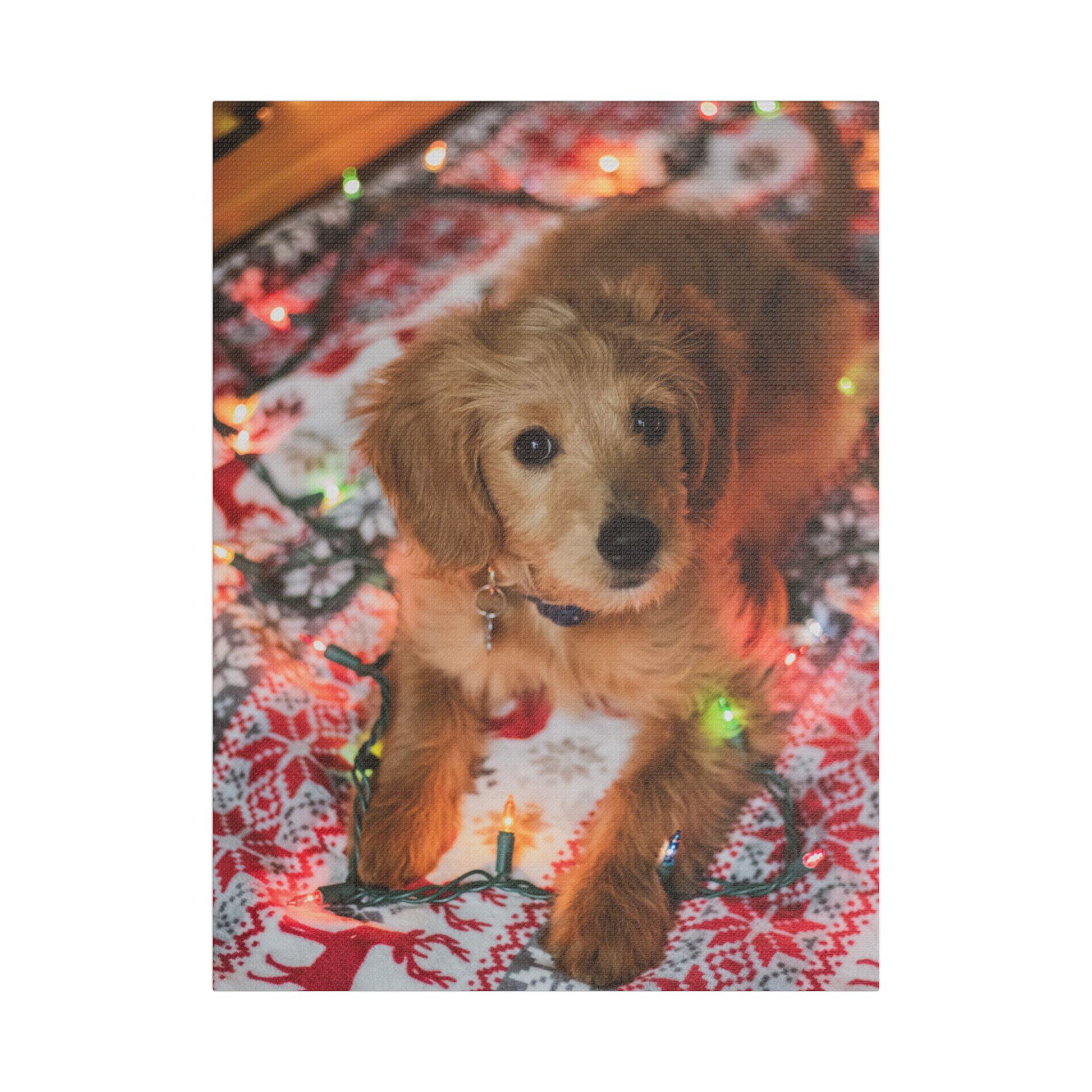 It Wasn't Me! - Image 17