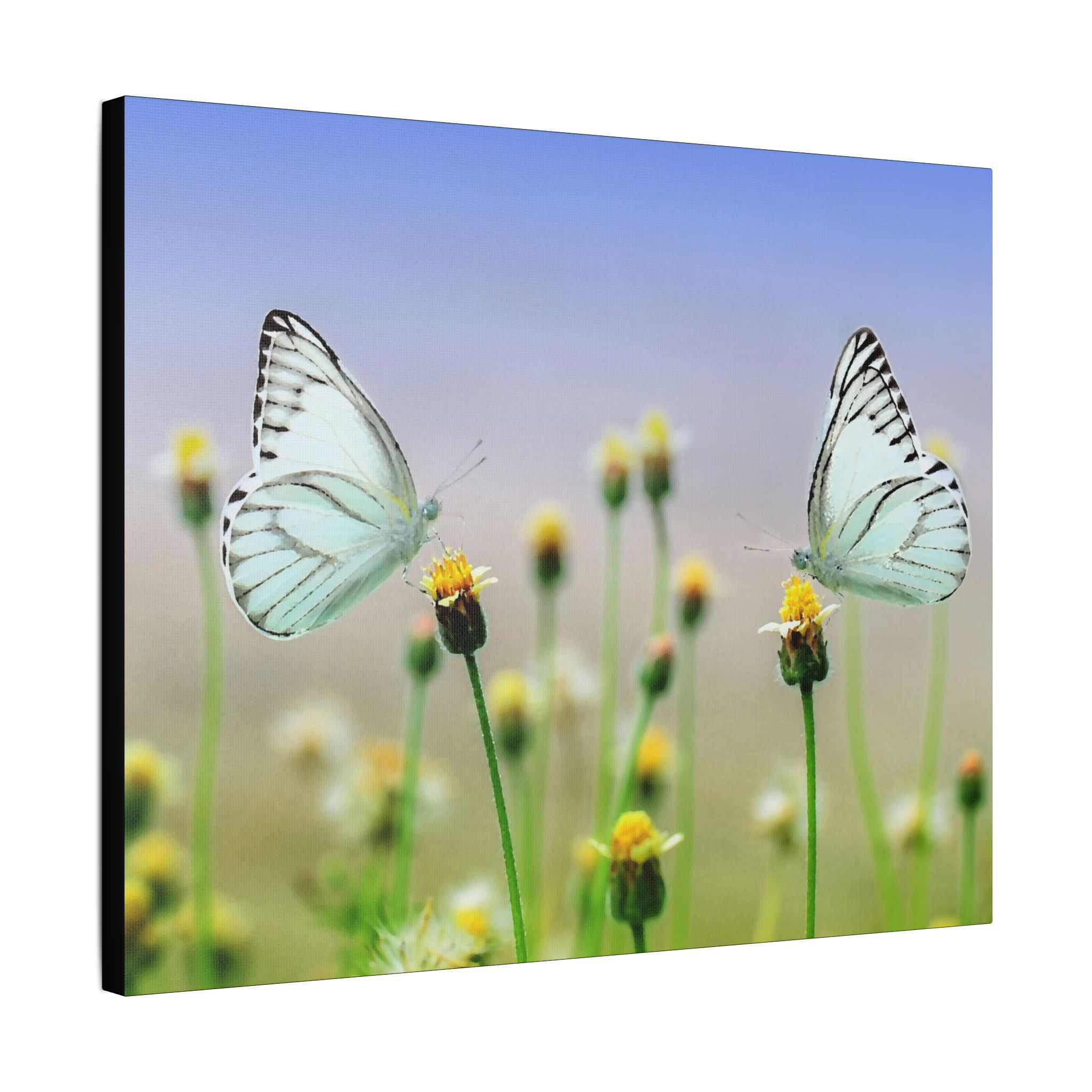 Butterfly Meadow - Image 22