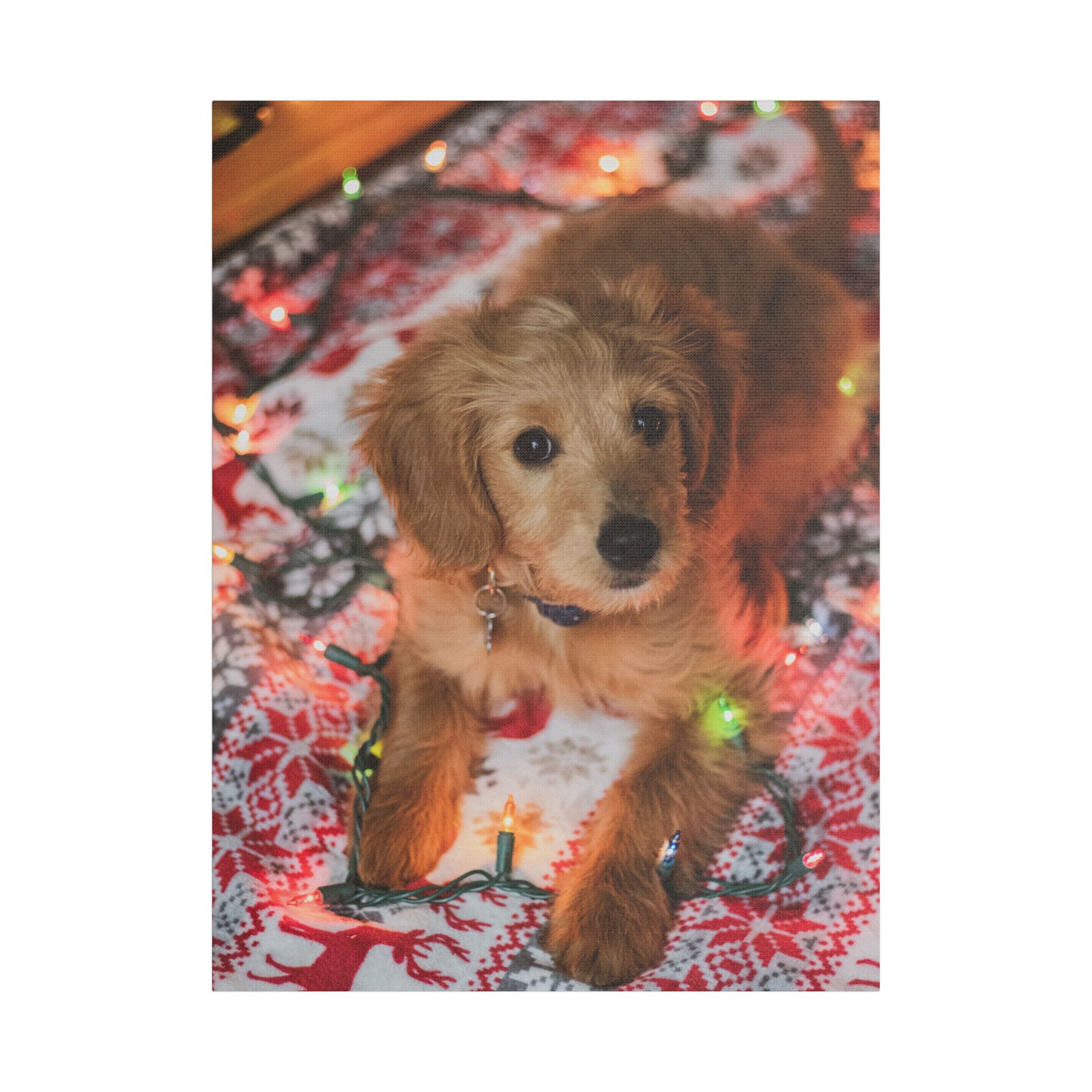 It Wasn't Me! - Image 9