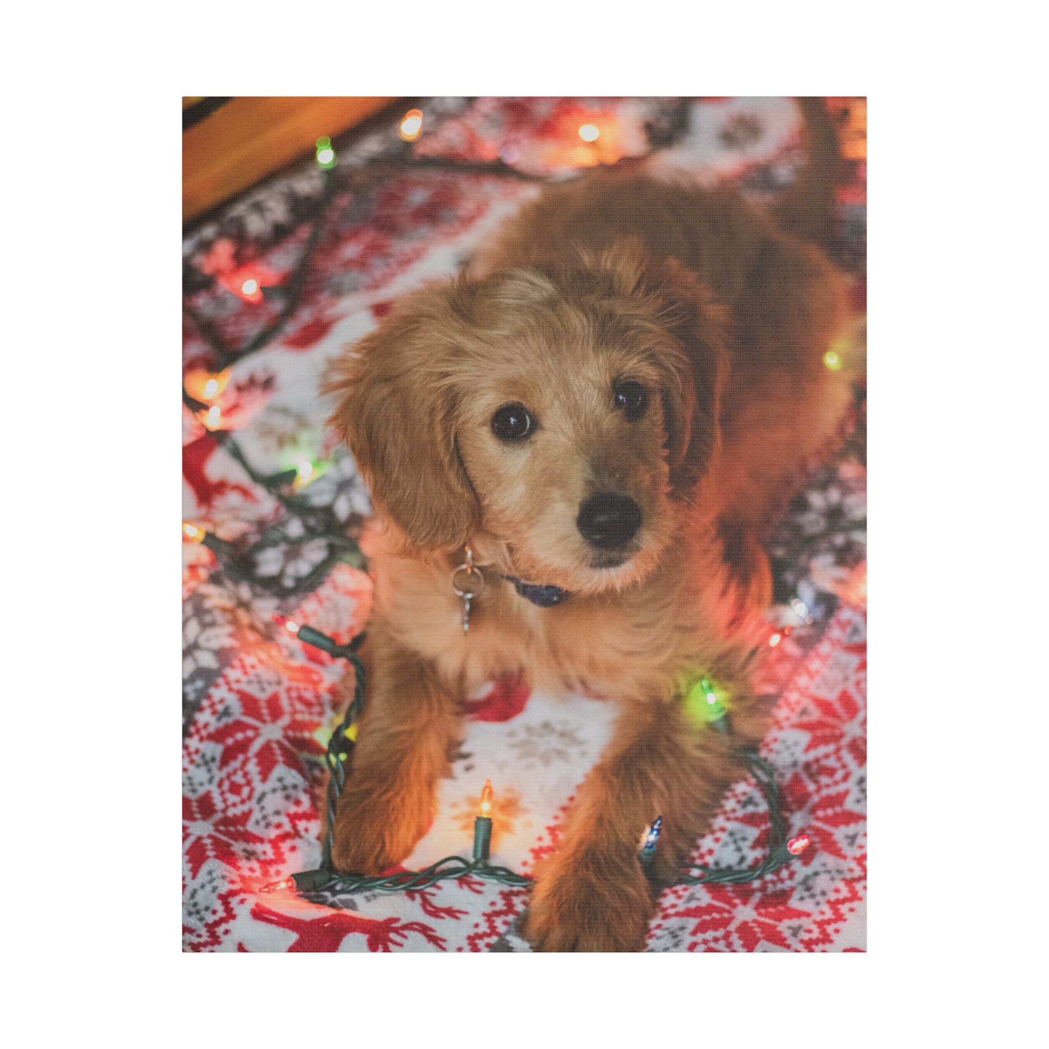 It Wasn't Me! - Image 21