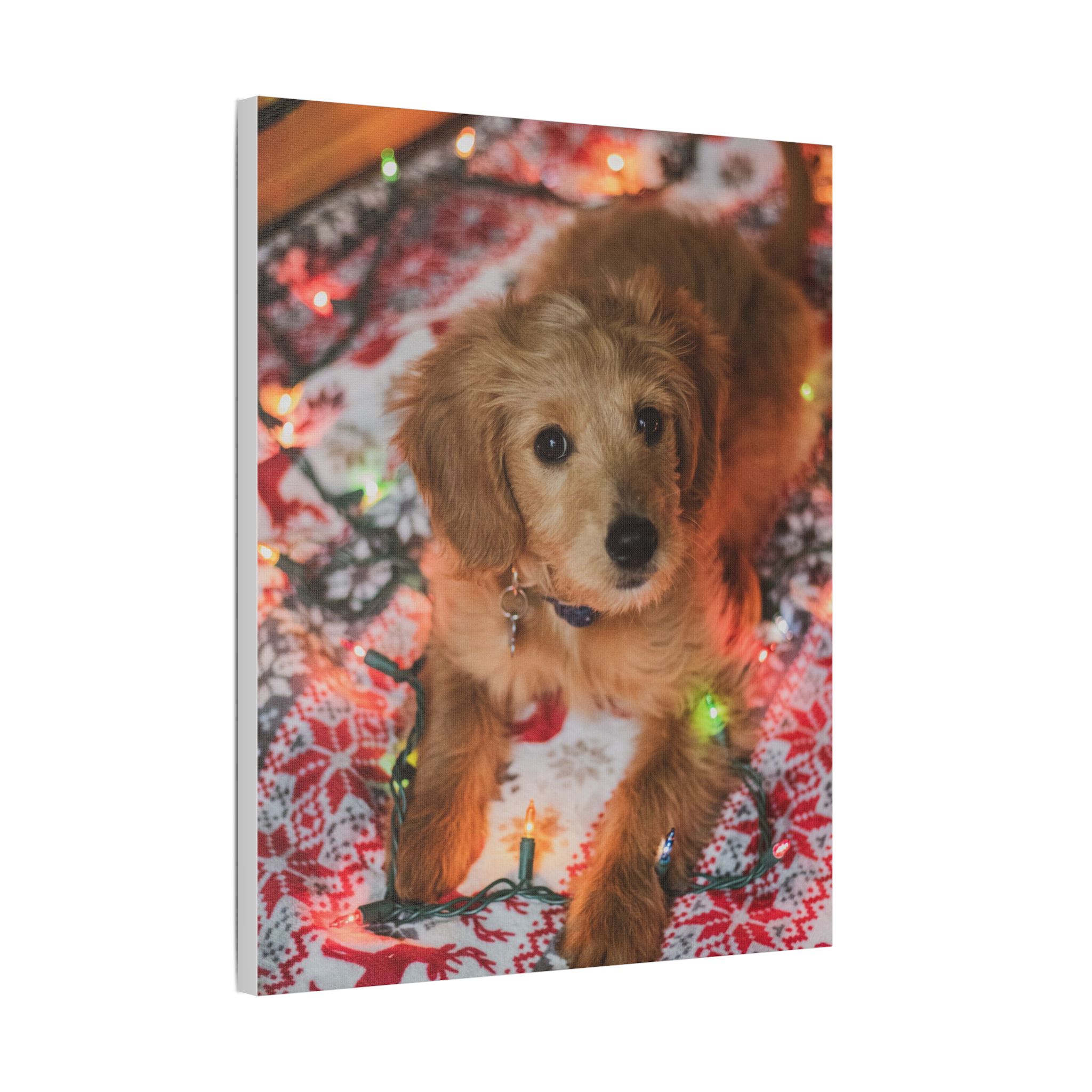 It Wasn't Me! - Image 22