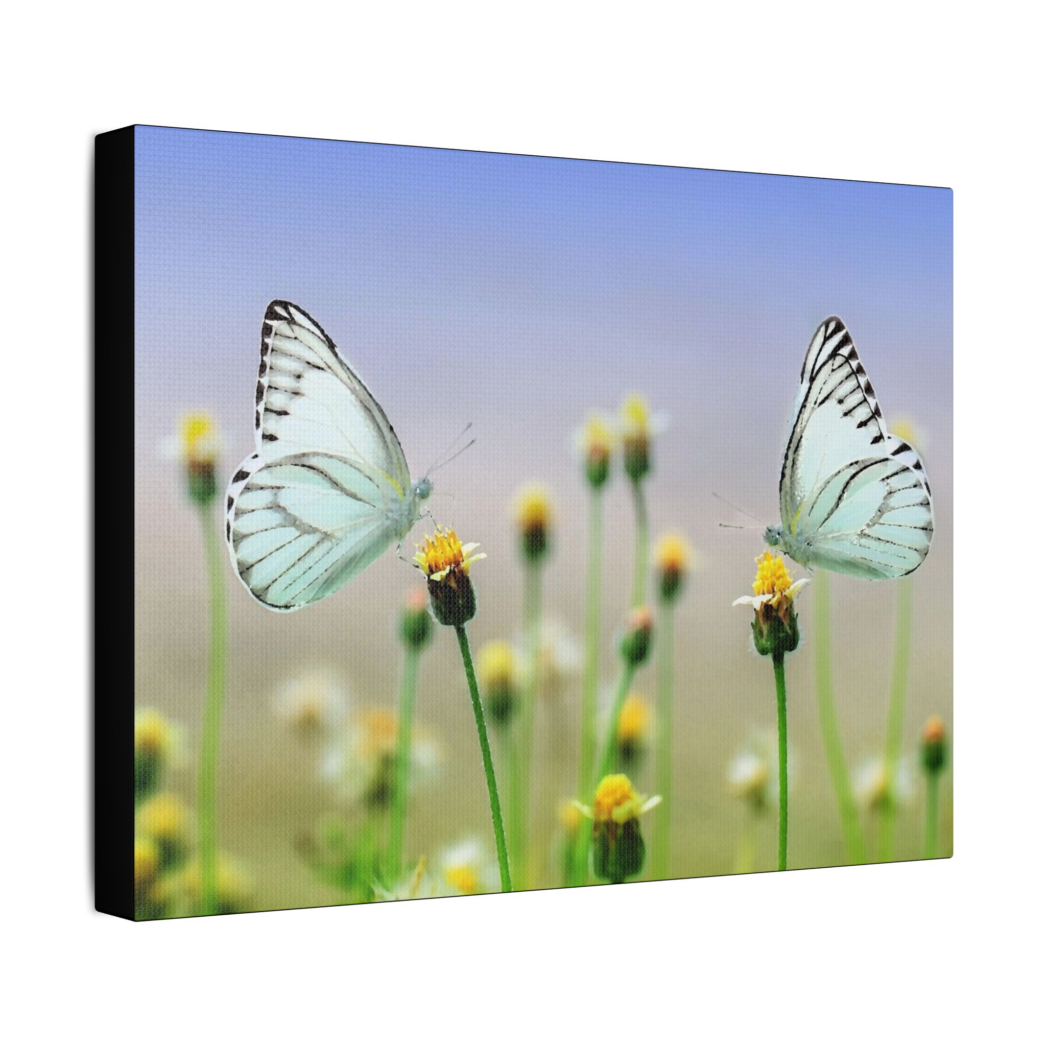 Butterfly Meadow - Image 18