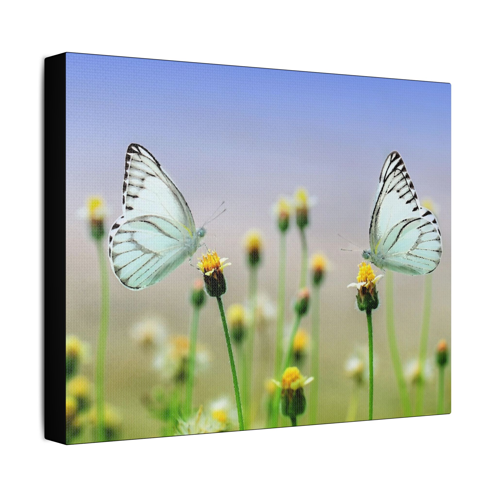 Butterfly Meadow - Image 6