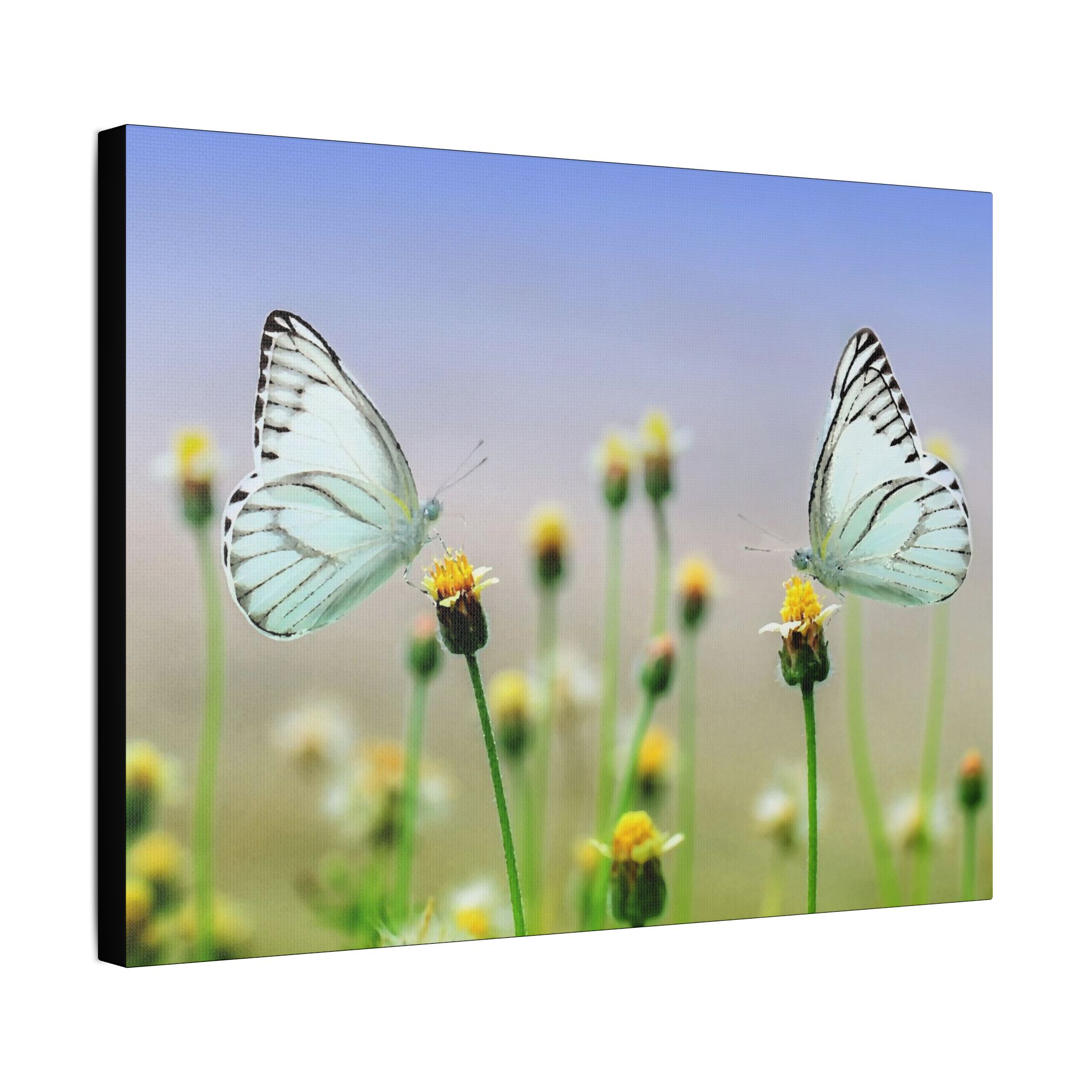 Butterfly Meadow - Image 10