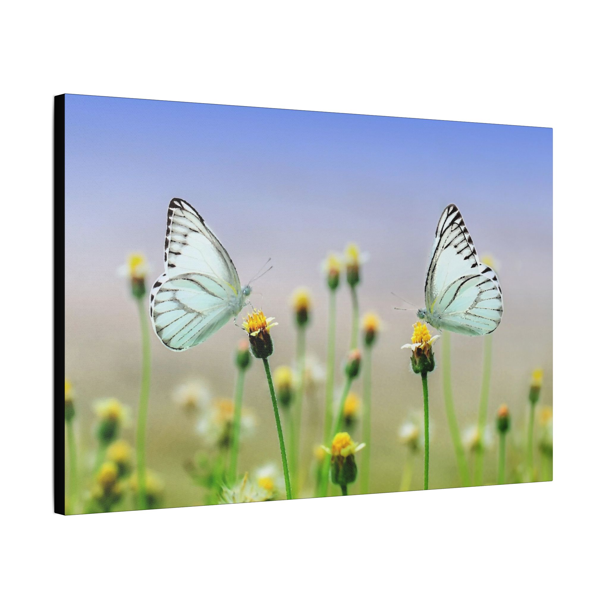 Butterfly Meadow - Image 2