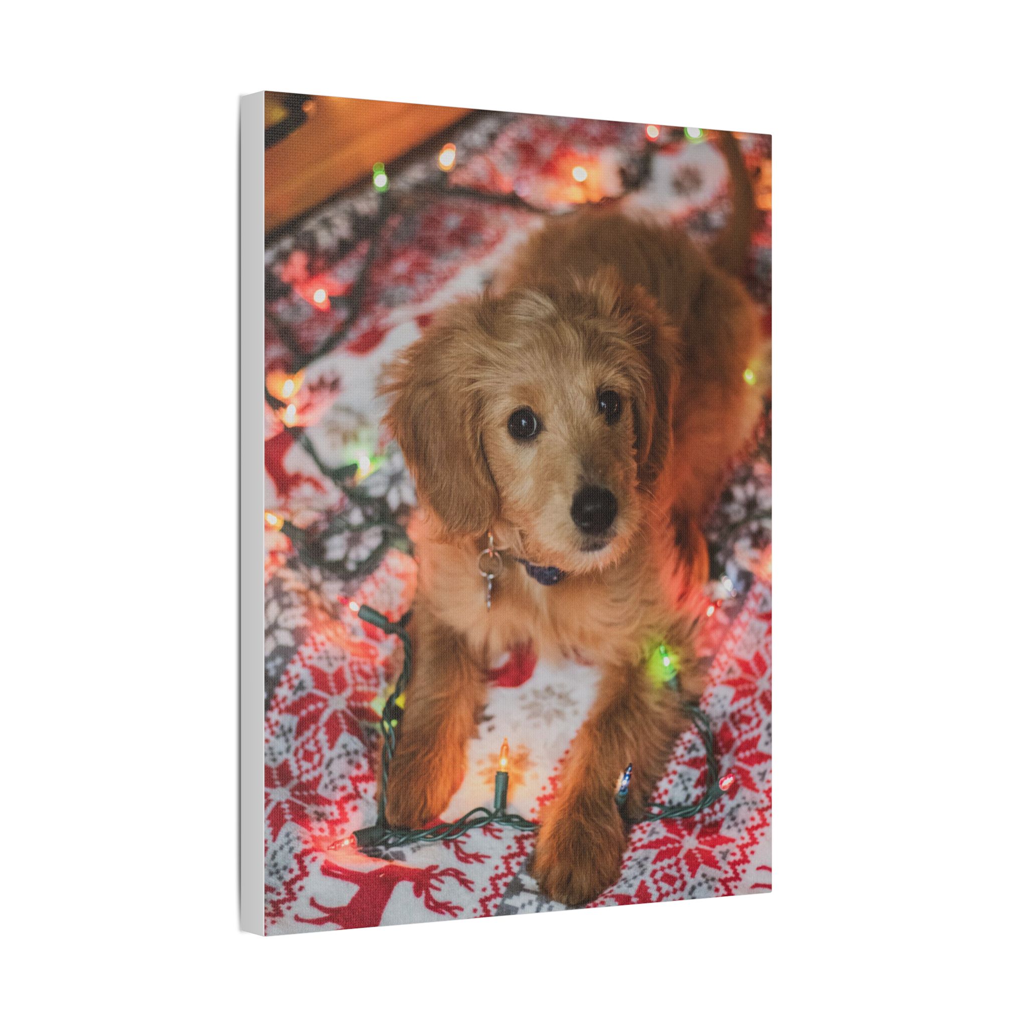 It Wasn't Me! - Image 10