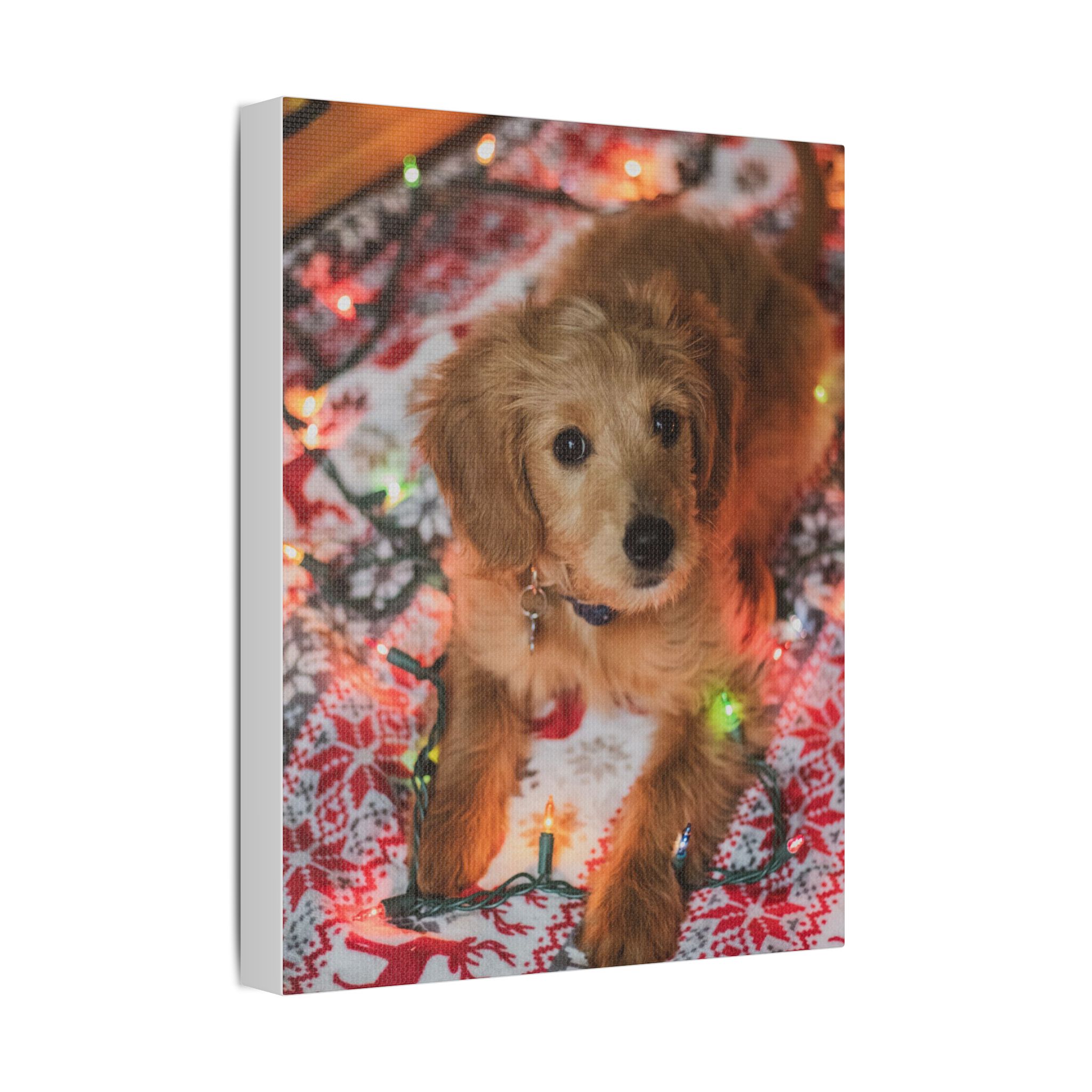 It Wasn't Me! - Image 6