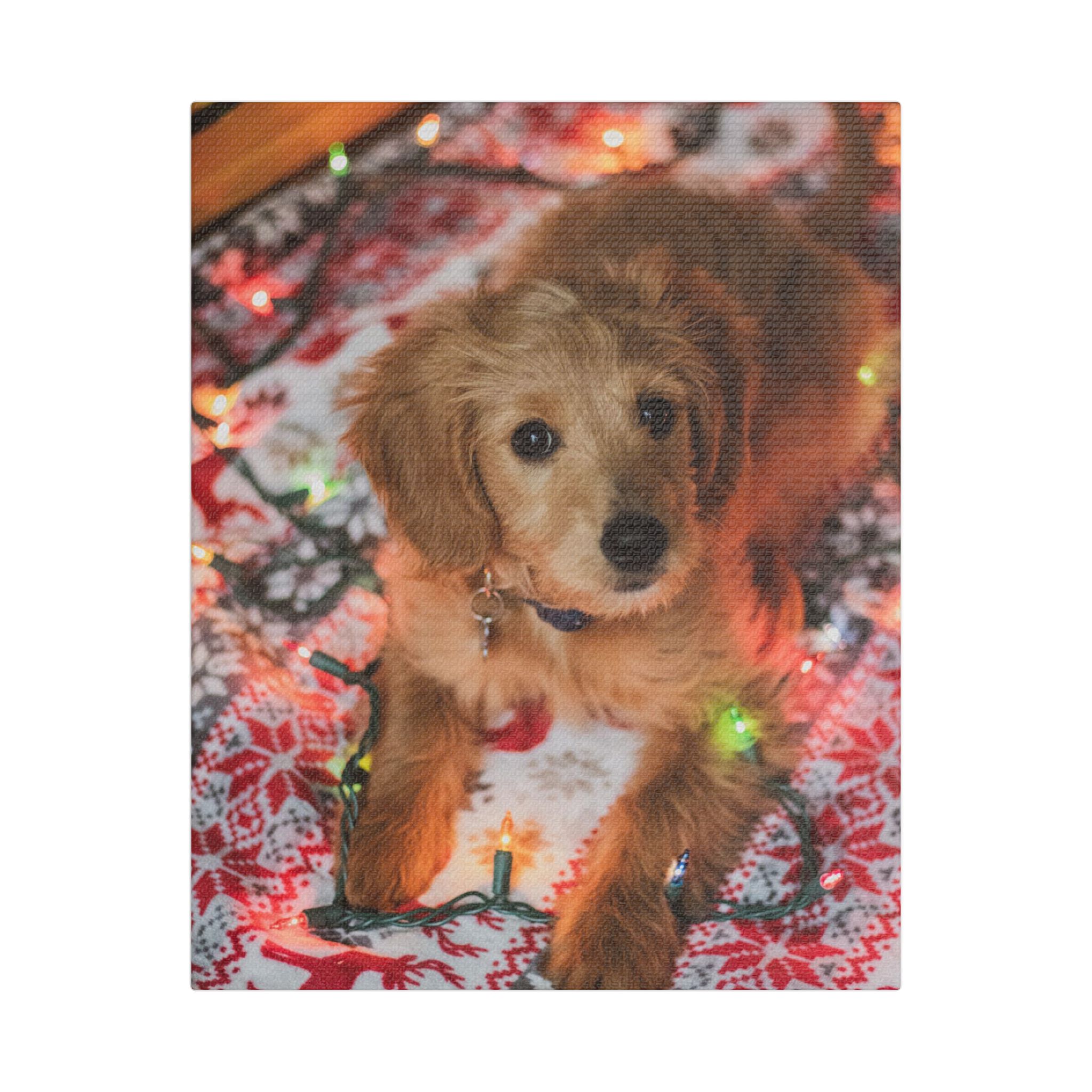 It Wasn't Me! - Image 13