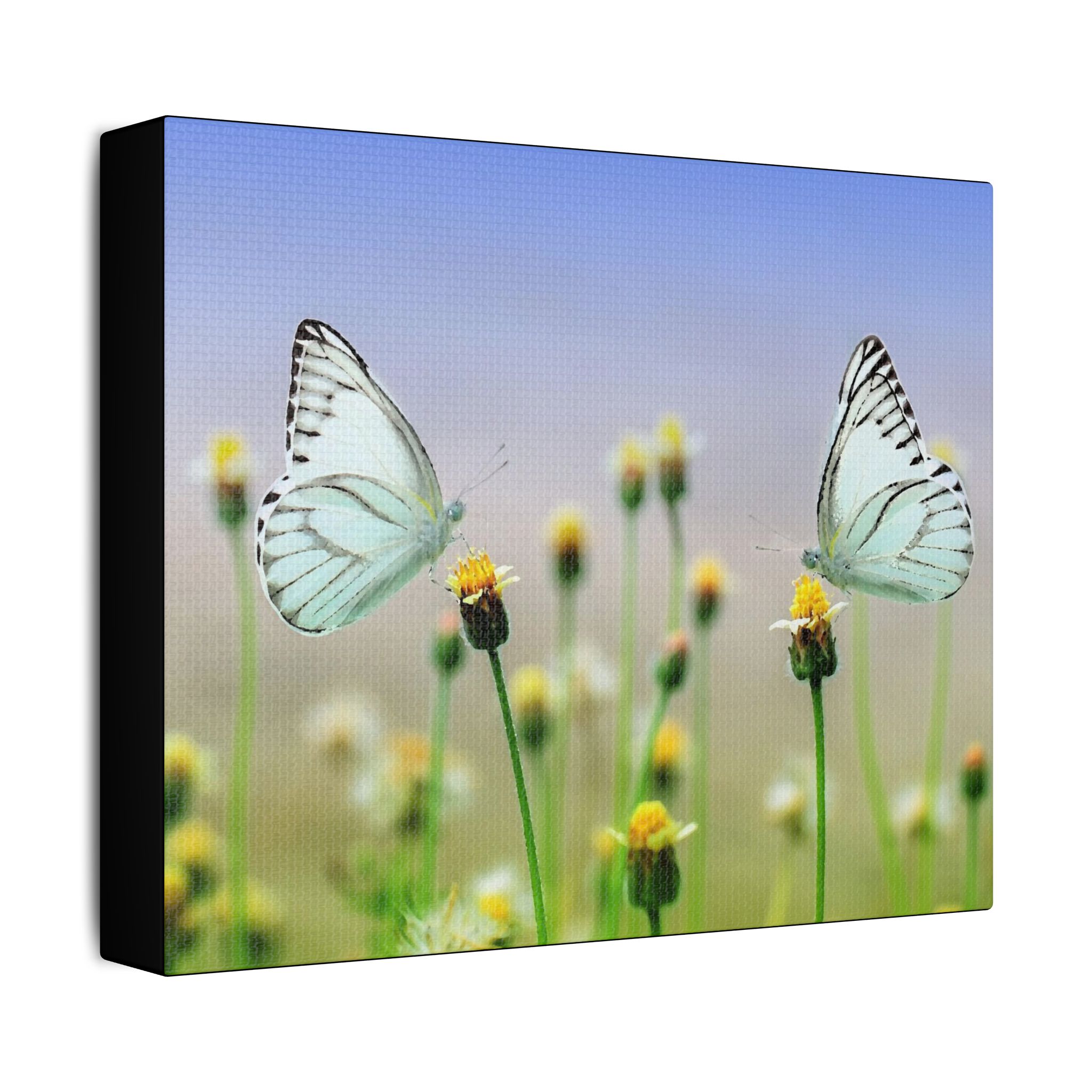 Butterfly Meadow - Image 14