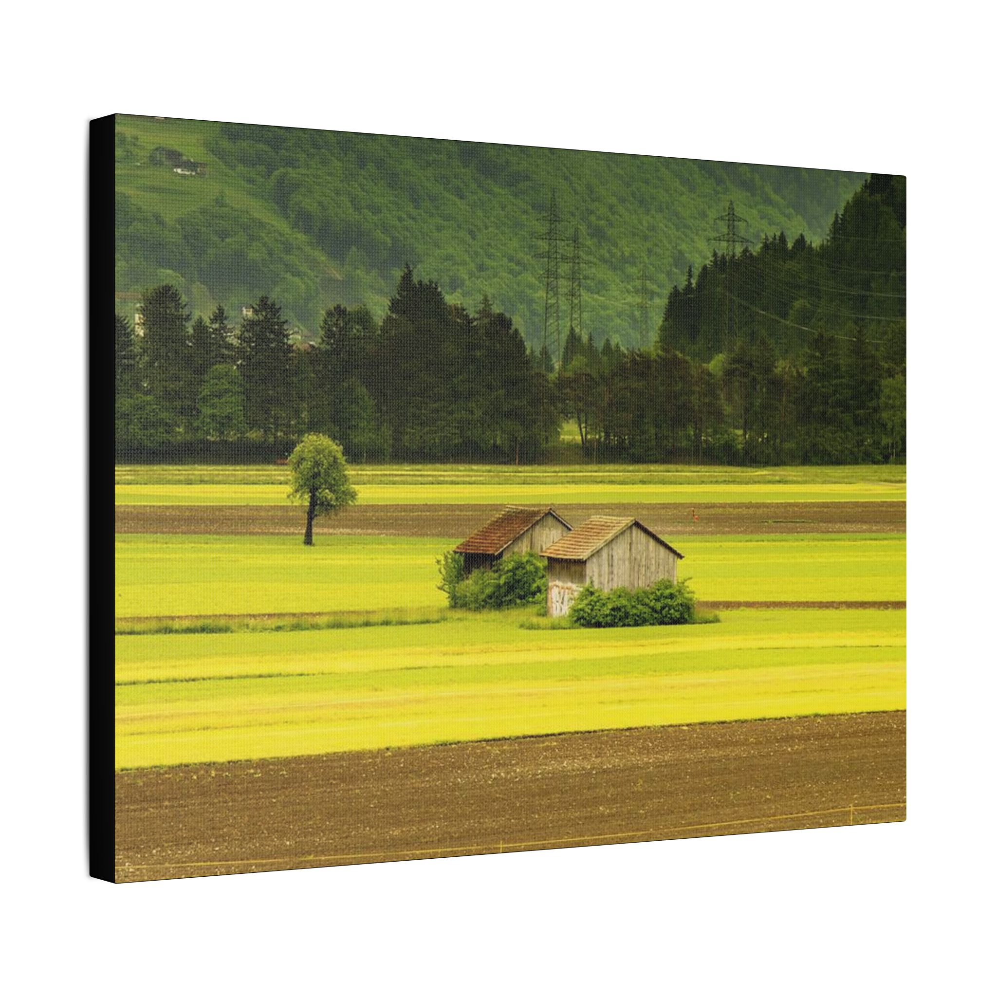 Switzerland Retreat - Image 14