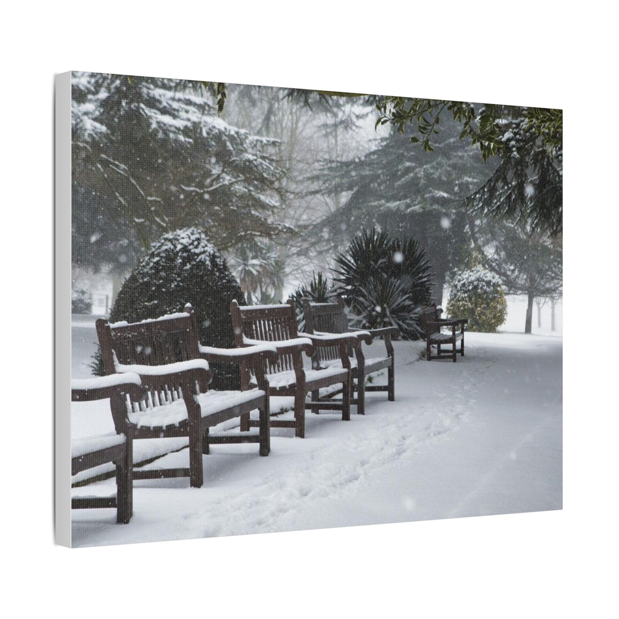 Park Benches In The Snow - Image 14