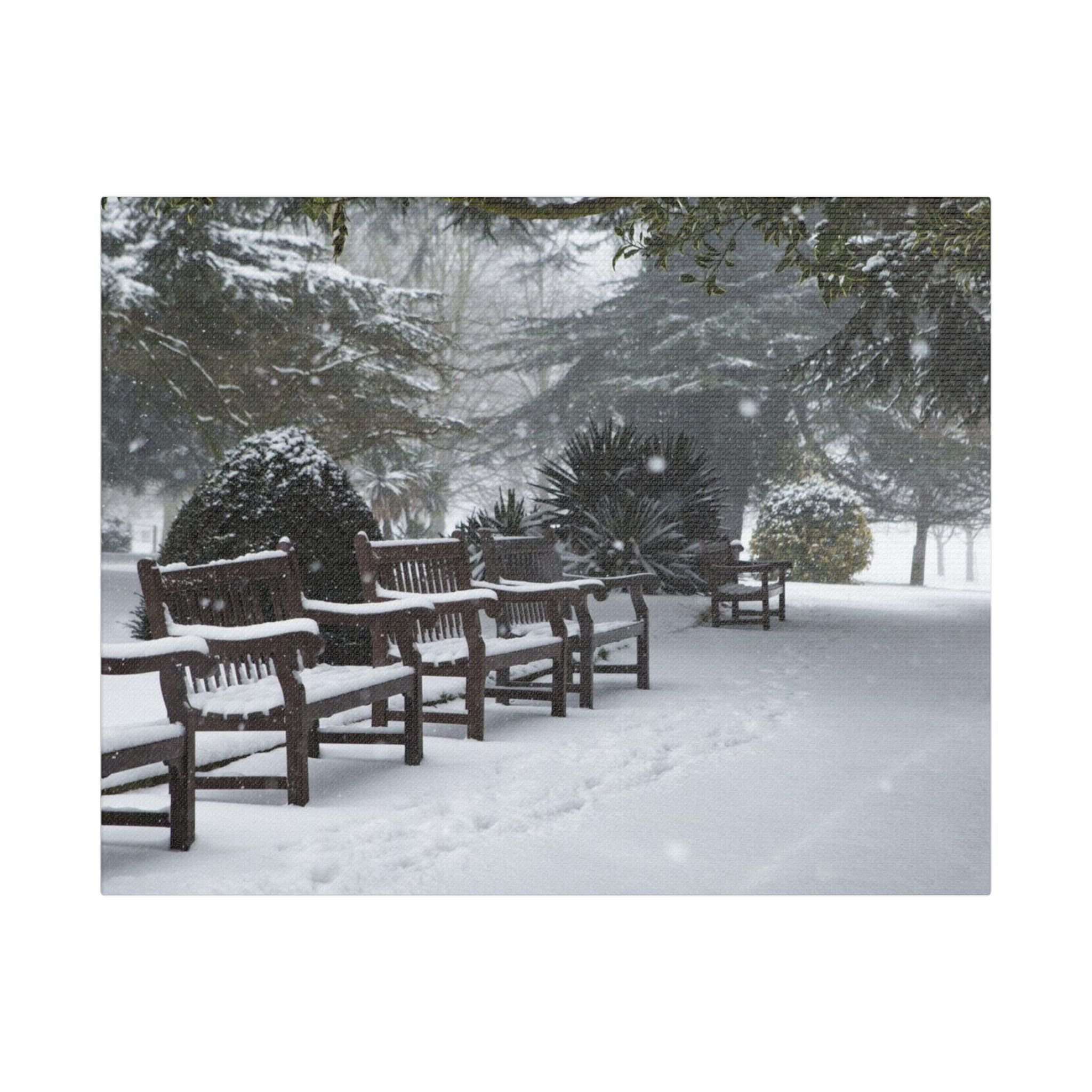 Park Benches In The Snow - Image 5