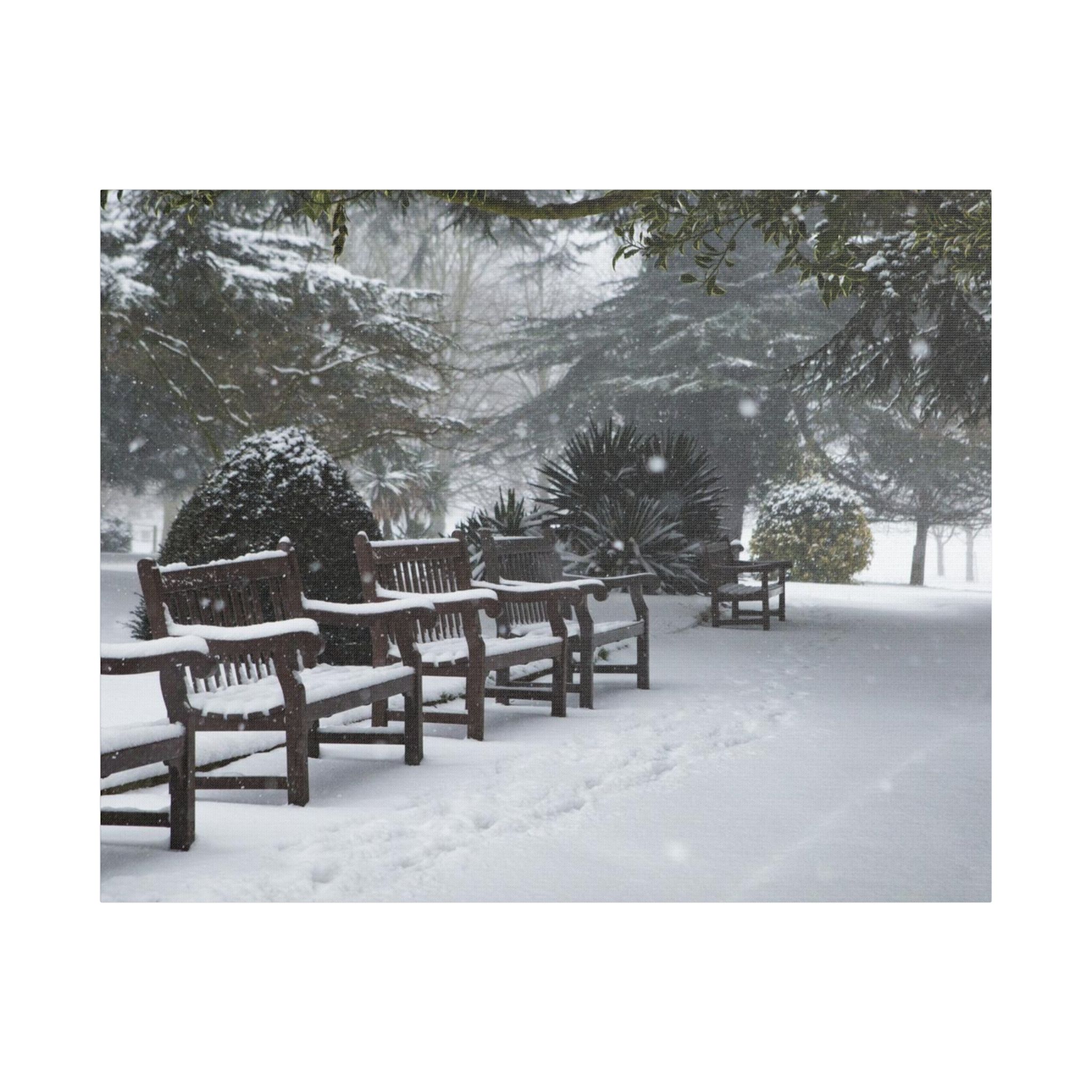 Park Benches In The Snow - Image 17