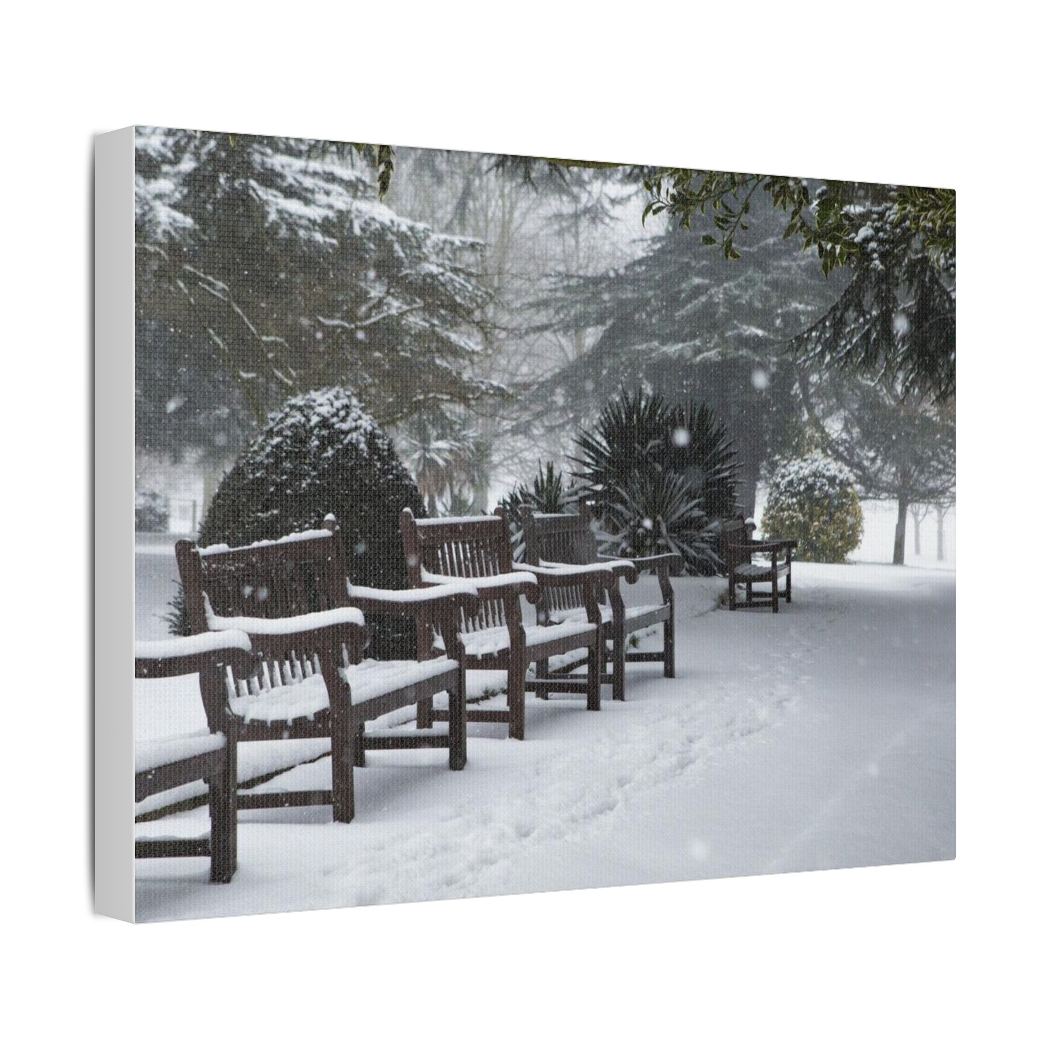Park Benches In The Snow - Image 10
