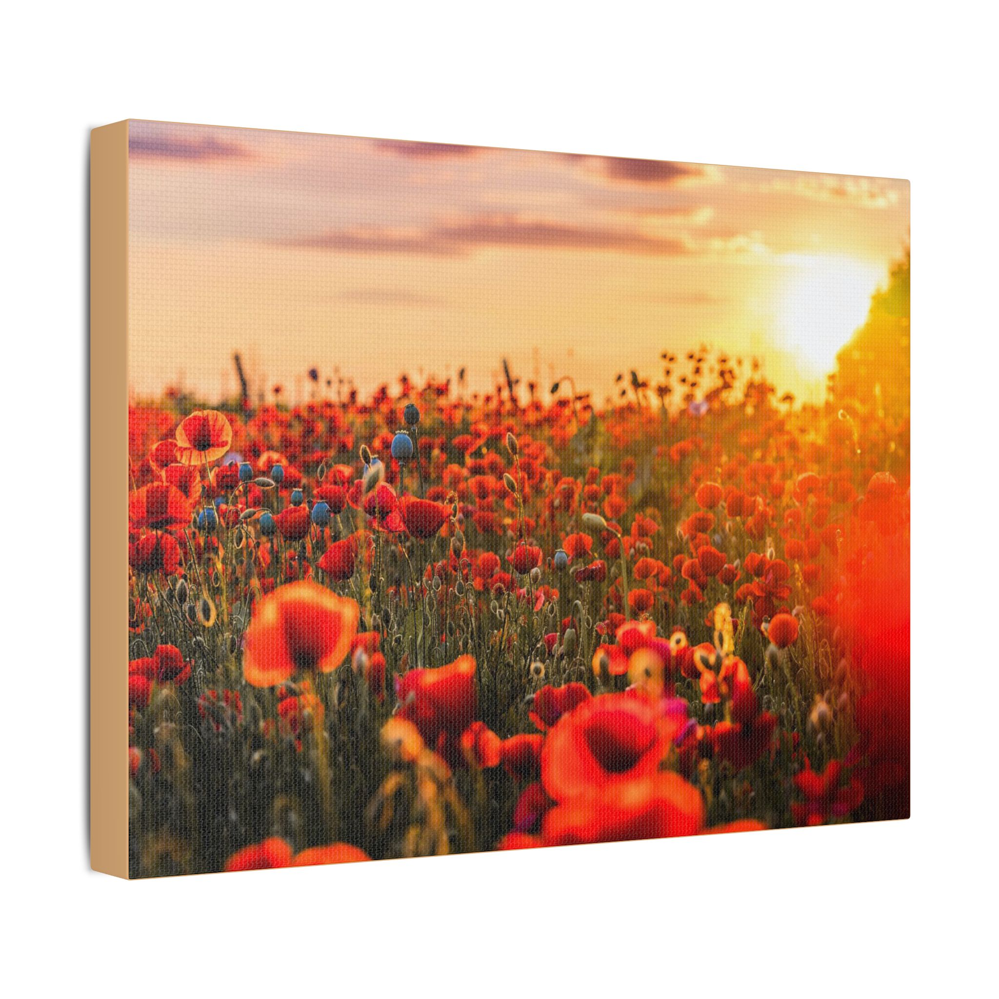 Fields for Remembrance - Image 10