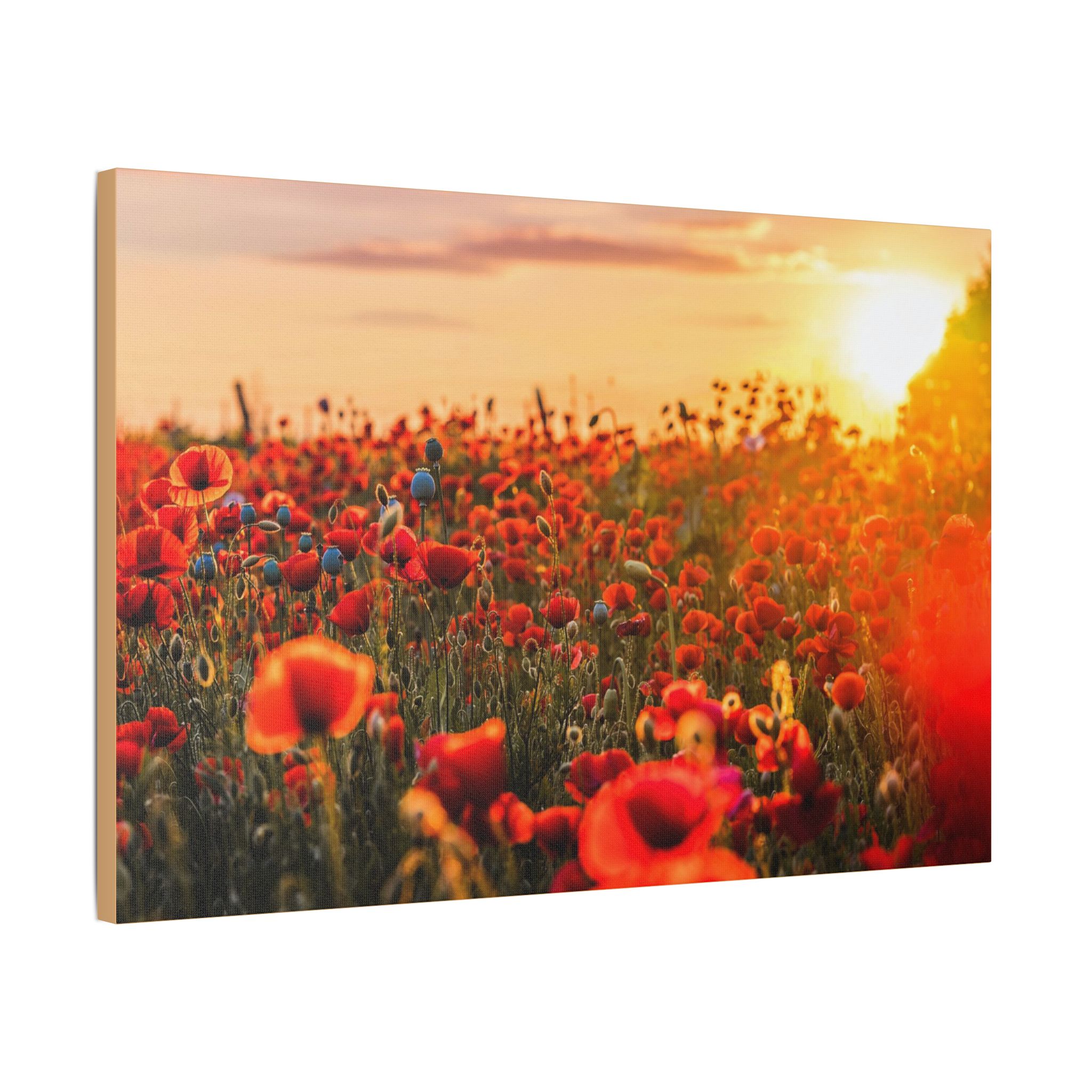 Fields for Remembrance - Image 22