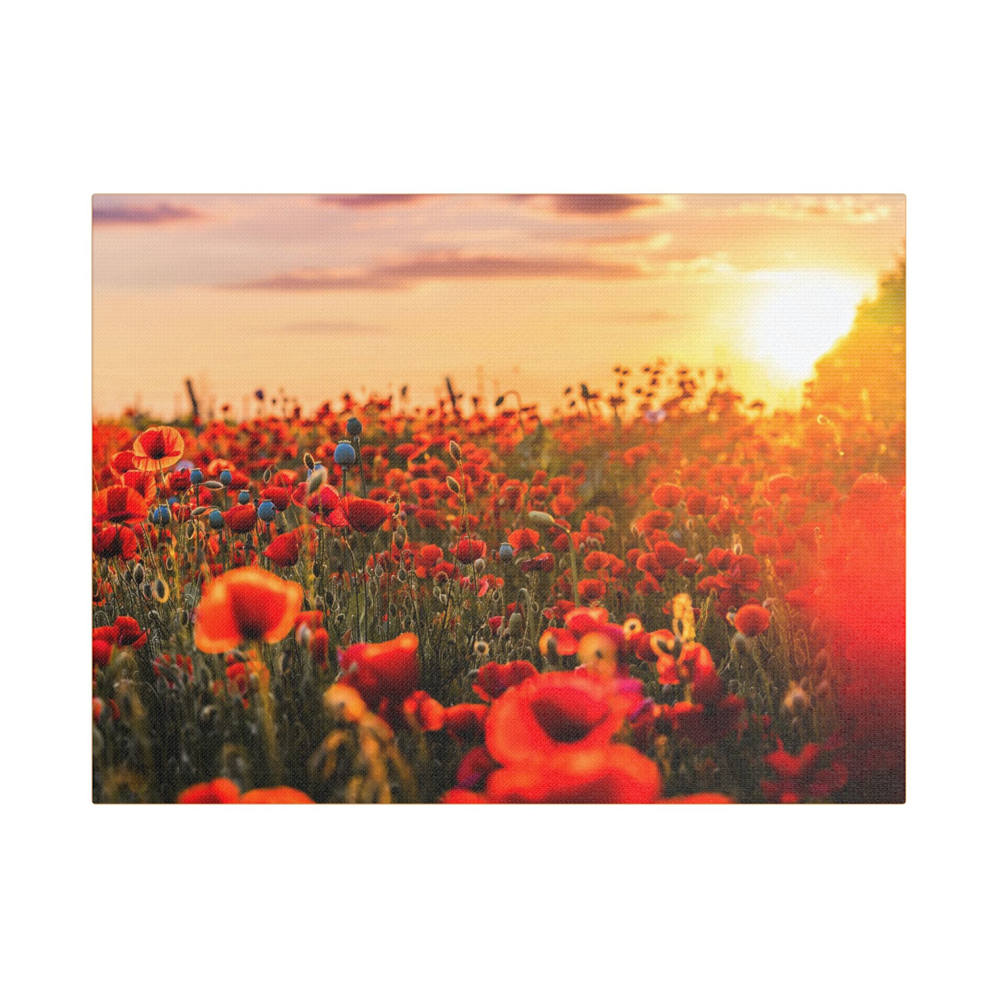 Fields for Remembrance - Image 9