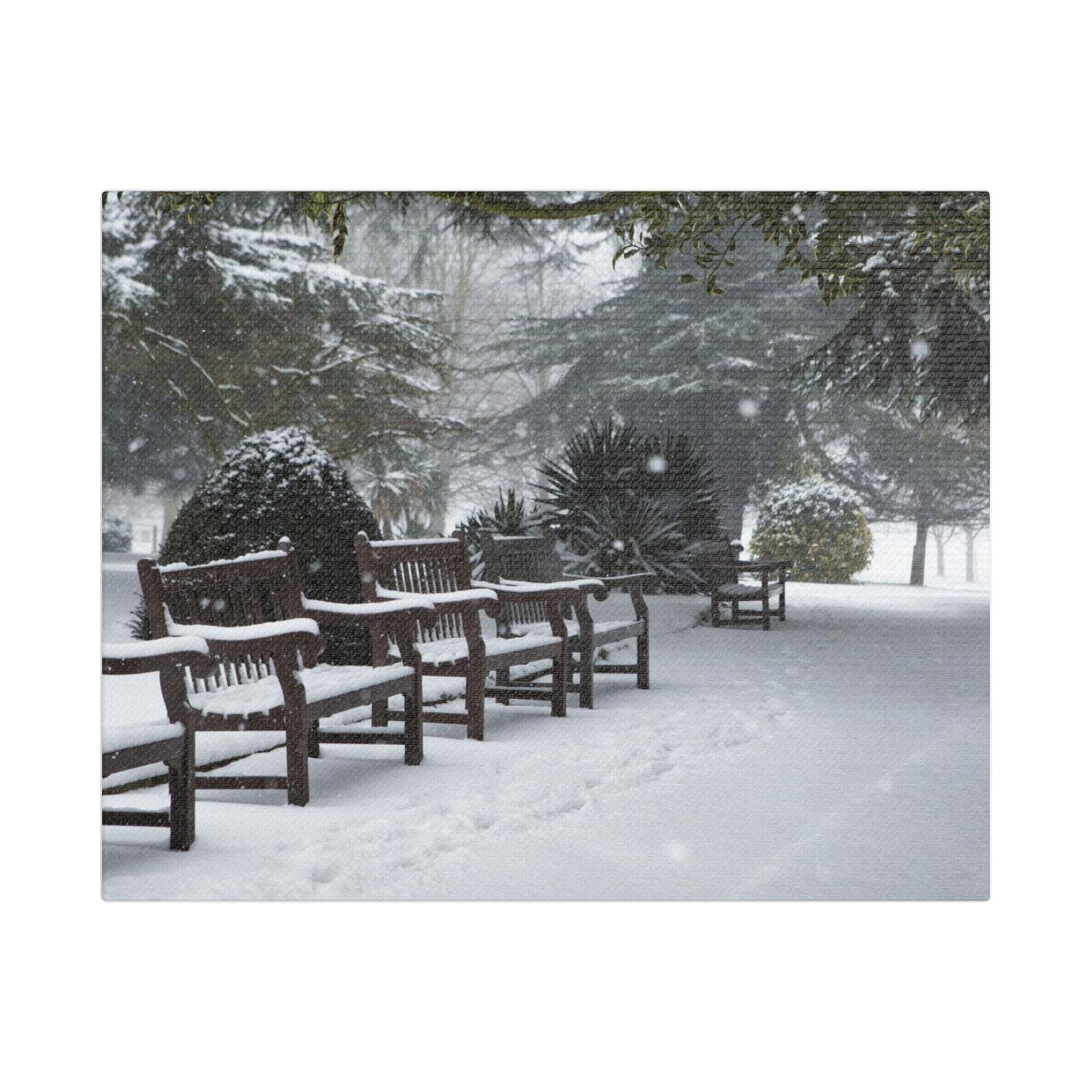 Park Benches In The Snow