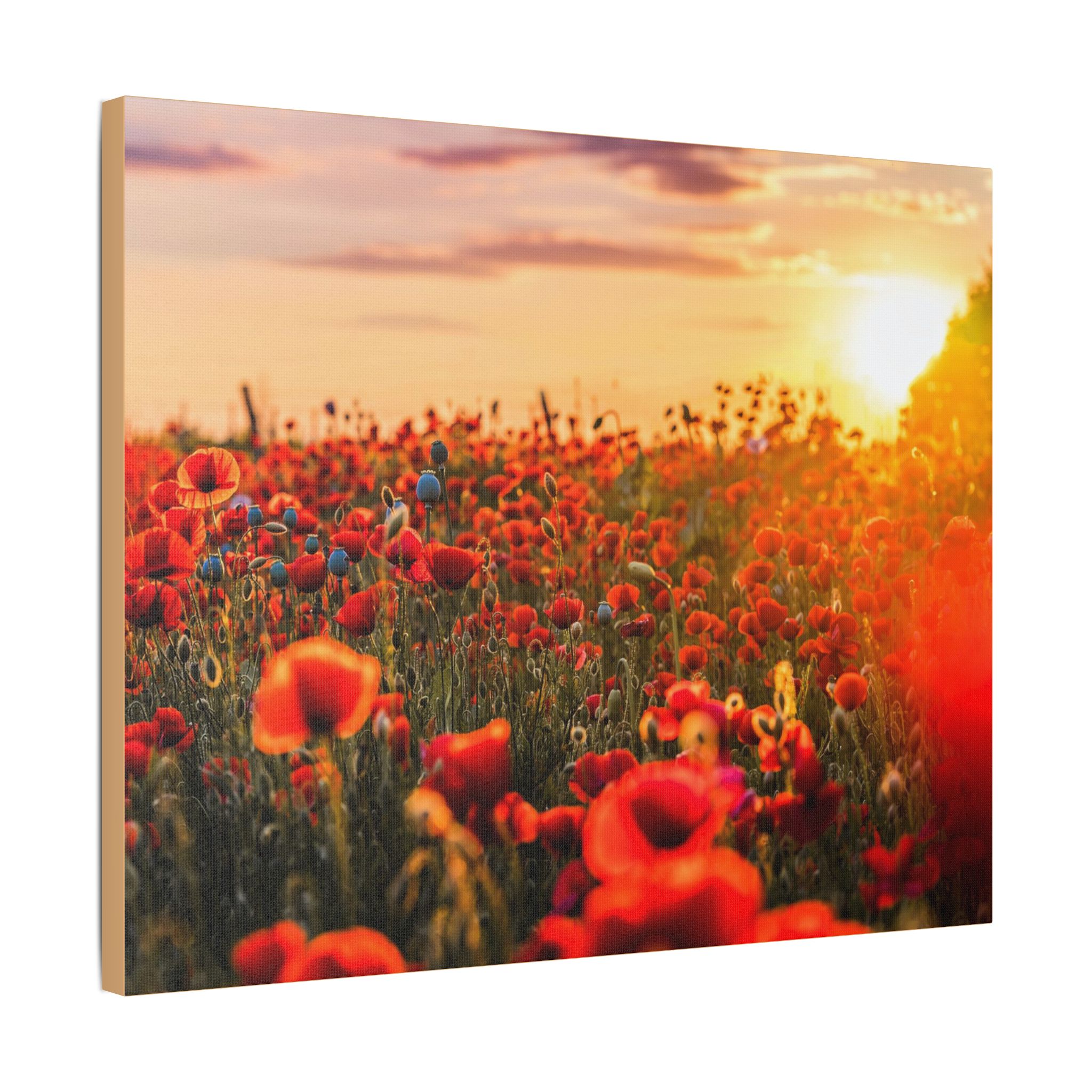 Fields for Remembrance - Image 18