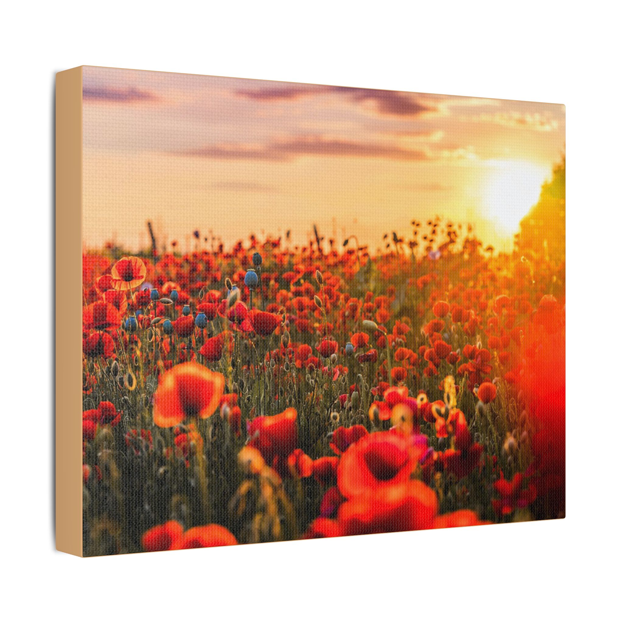 Fields for Remembrance - Image 6