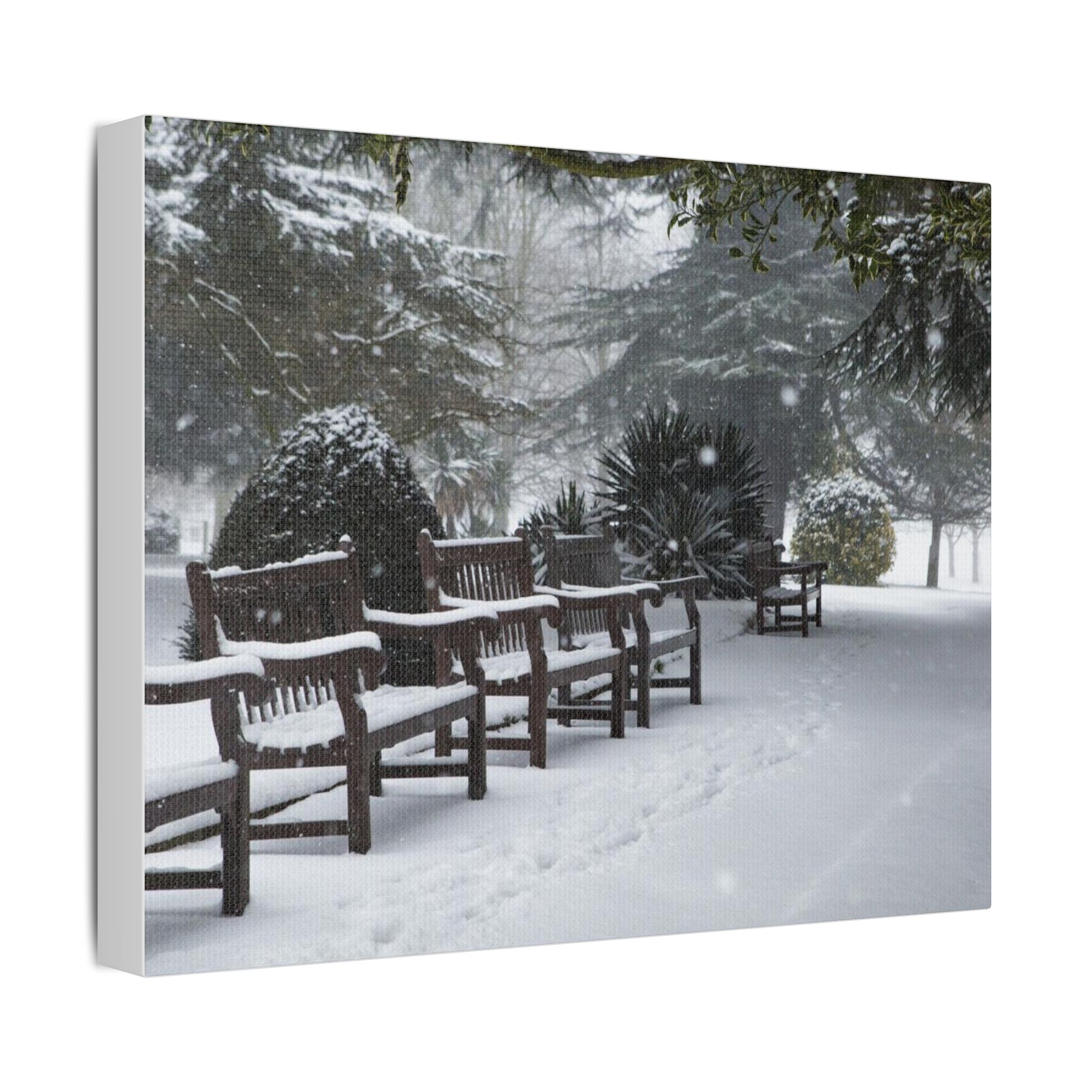 Park Benches In The Snow - Image 6