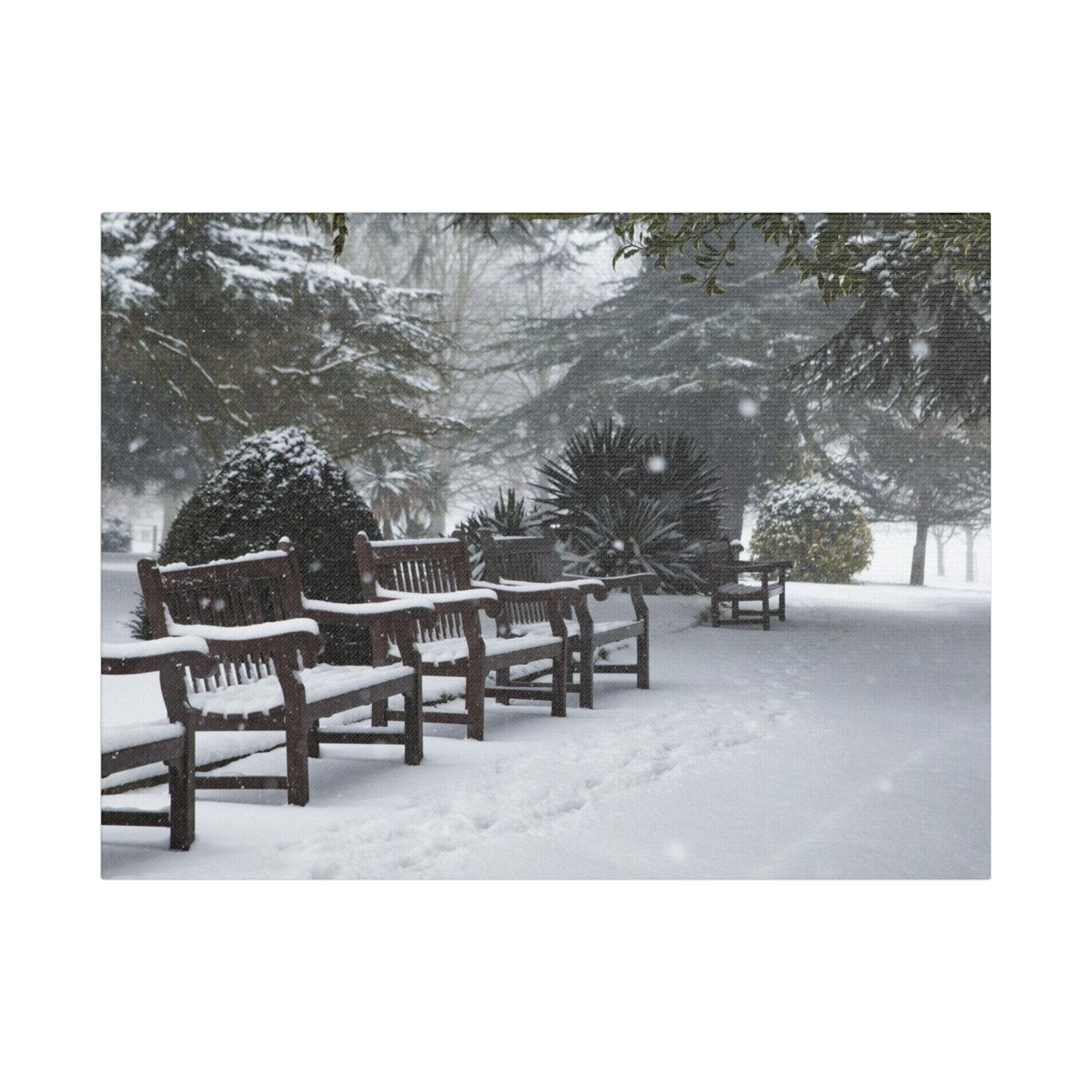 Park Benches In The Snow - Image 9