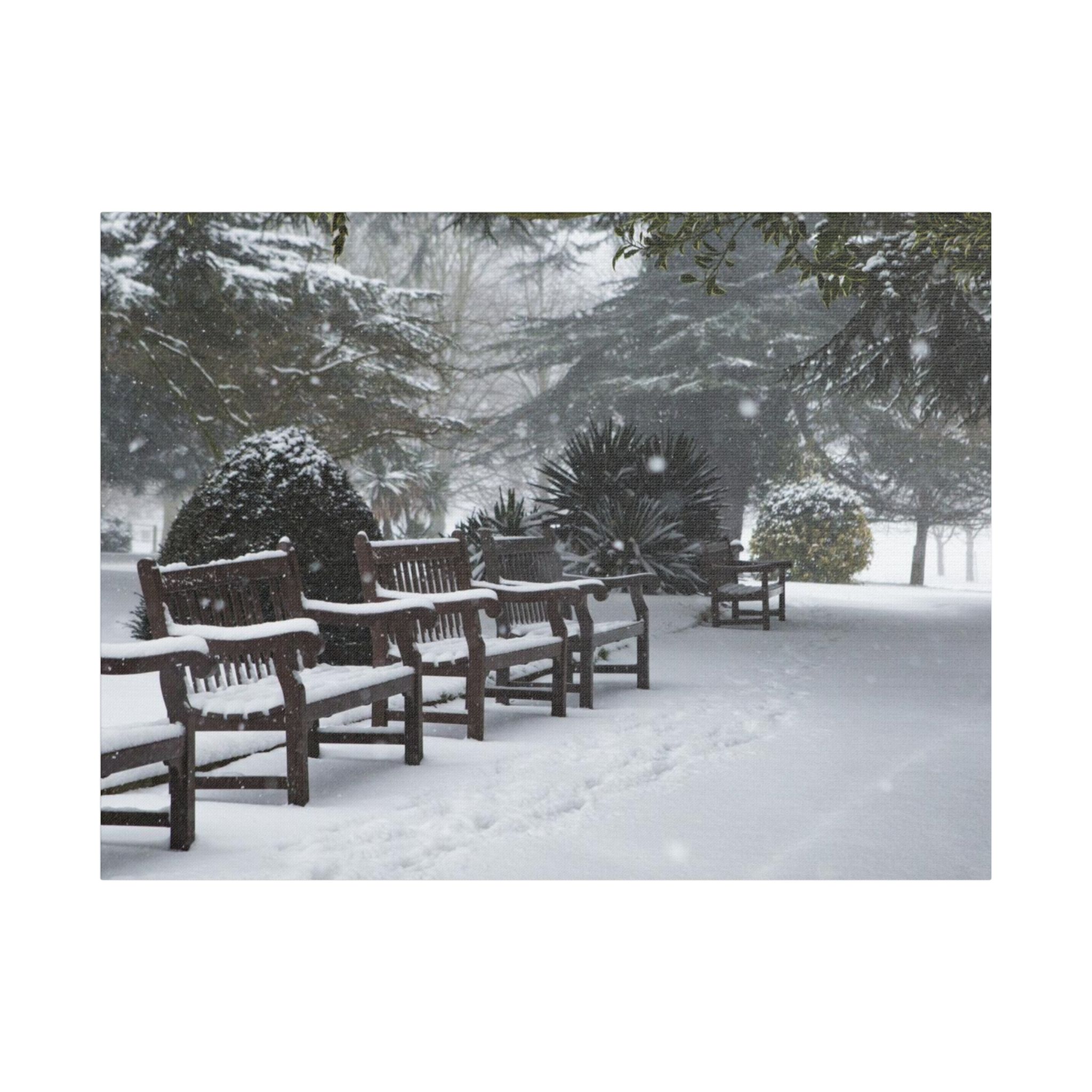 Park Benches In The Snow - Image 13