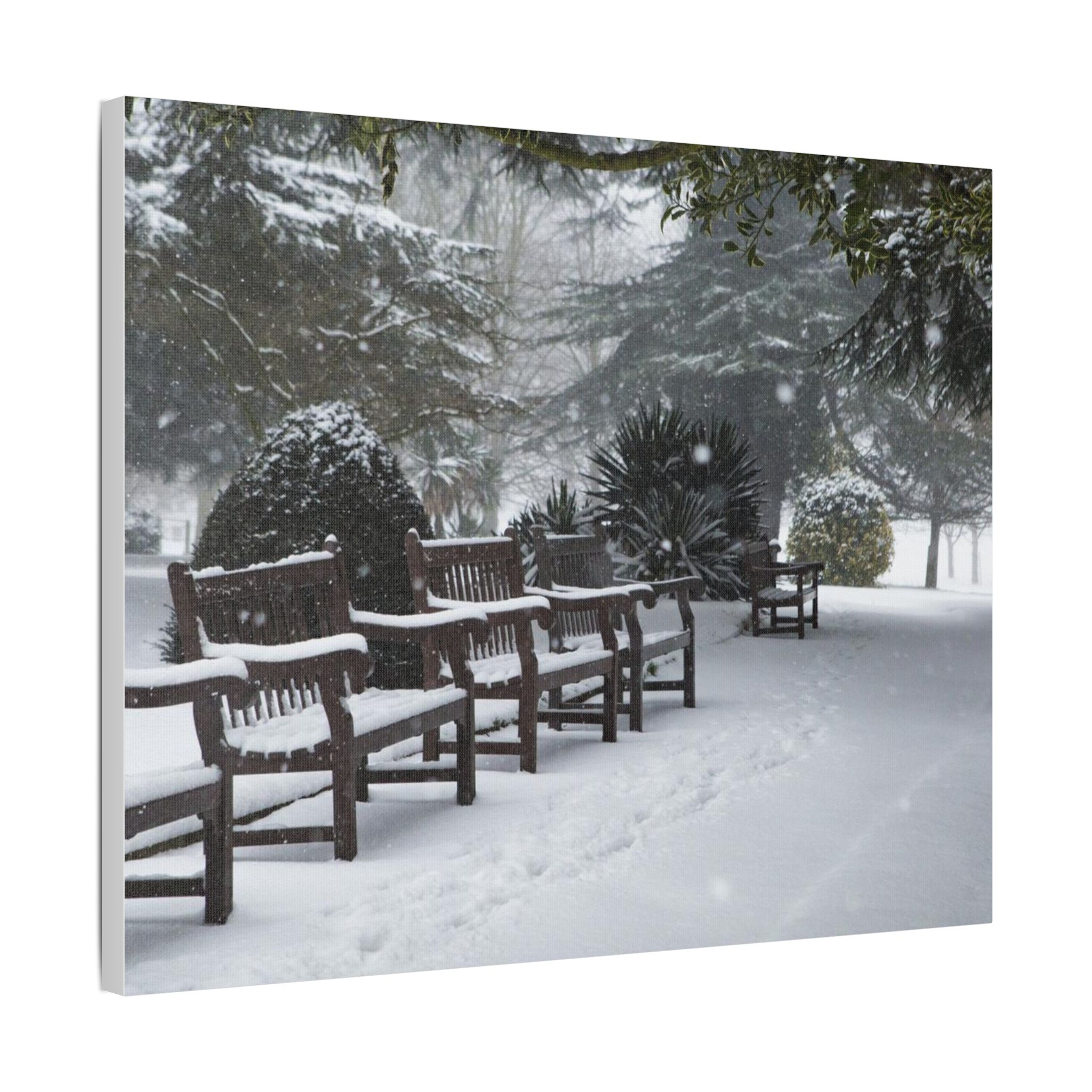 Park Benches In The Snow - Image 18