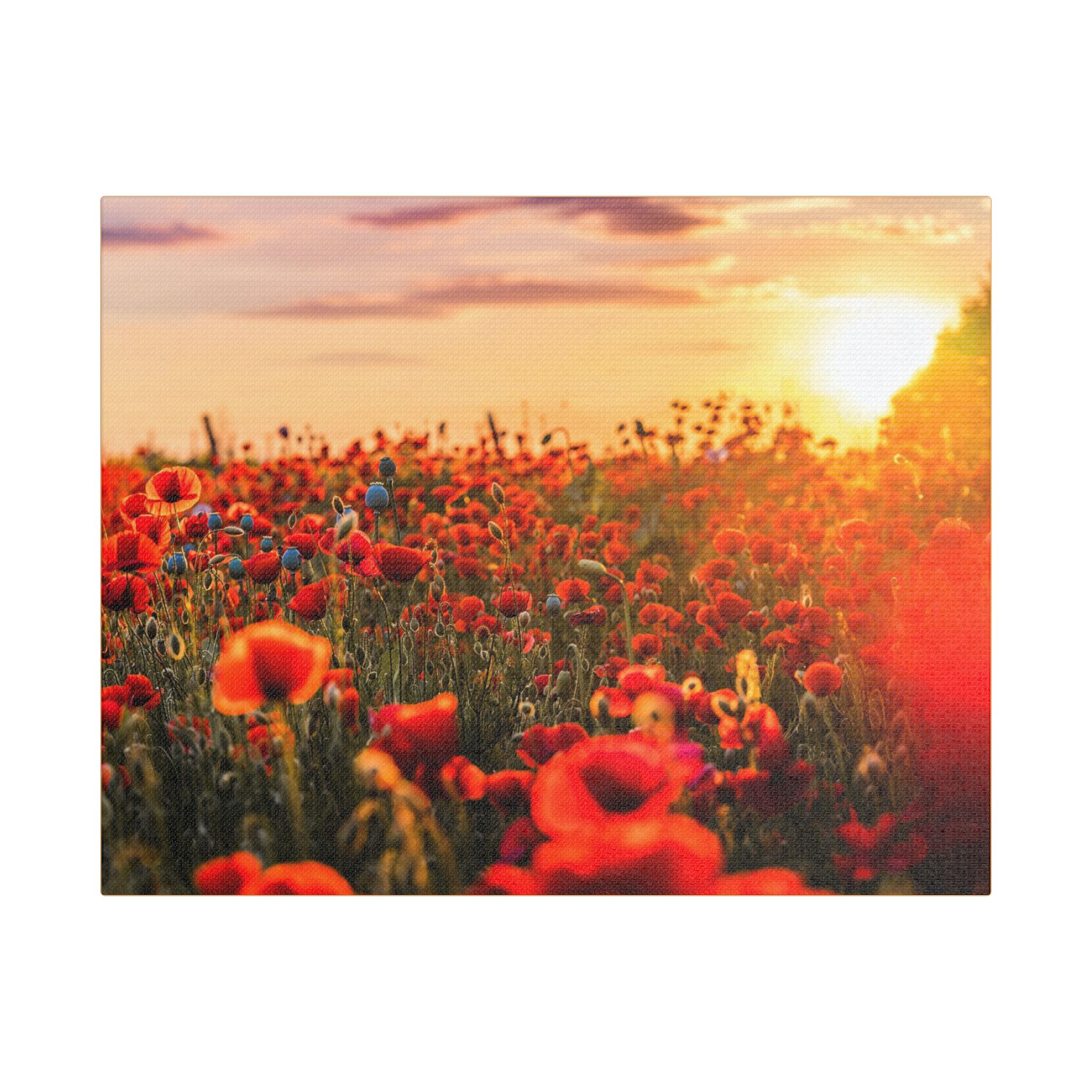 Fields for Remembrance - Image 5