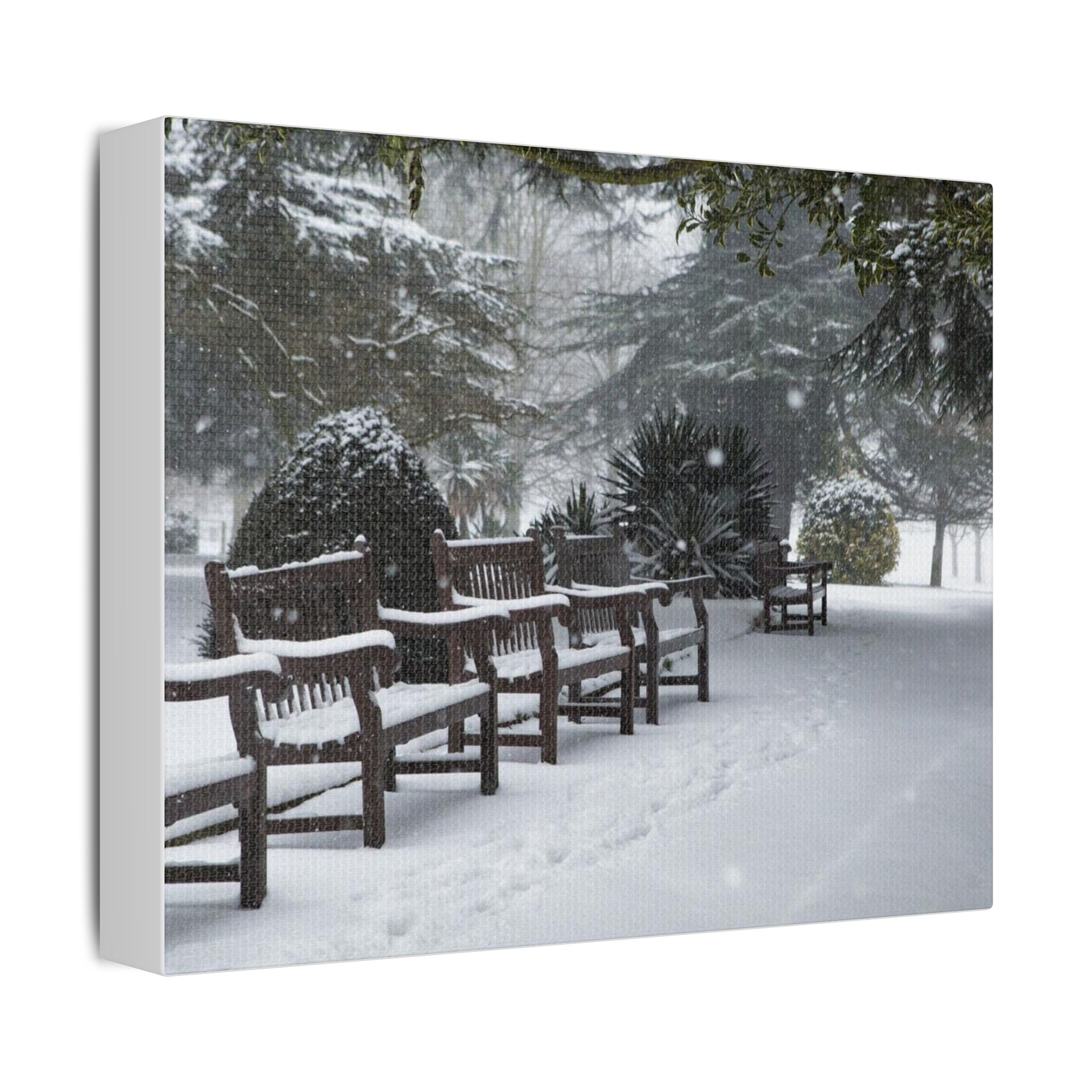 Park Benches In The Snow - Image 2
