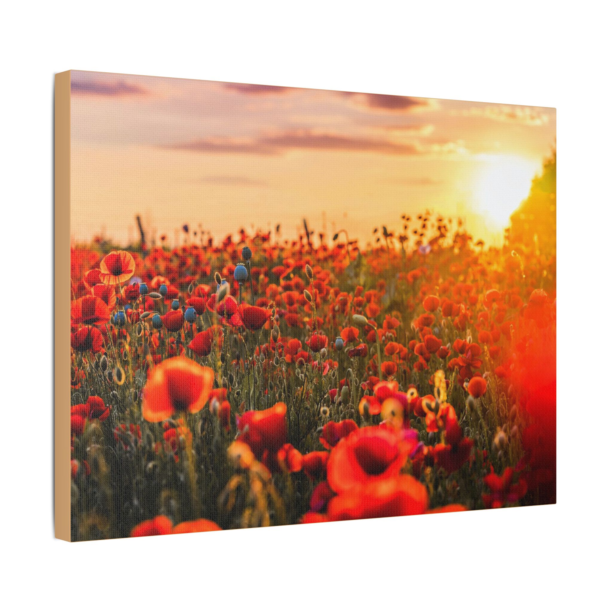 Fields for Remembrance - Image 14