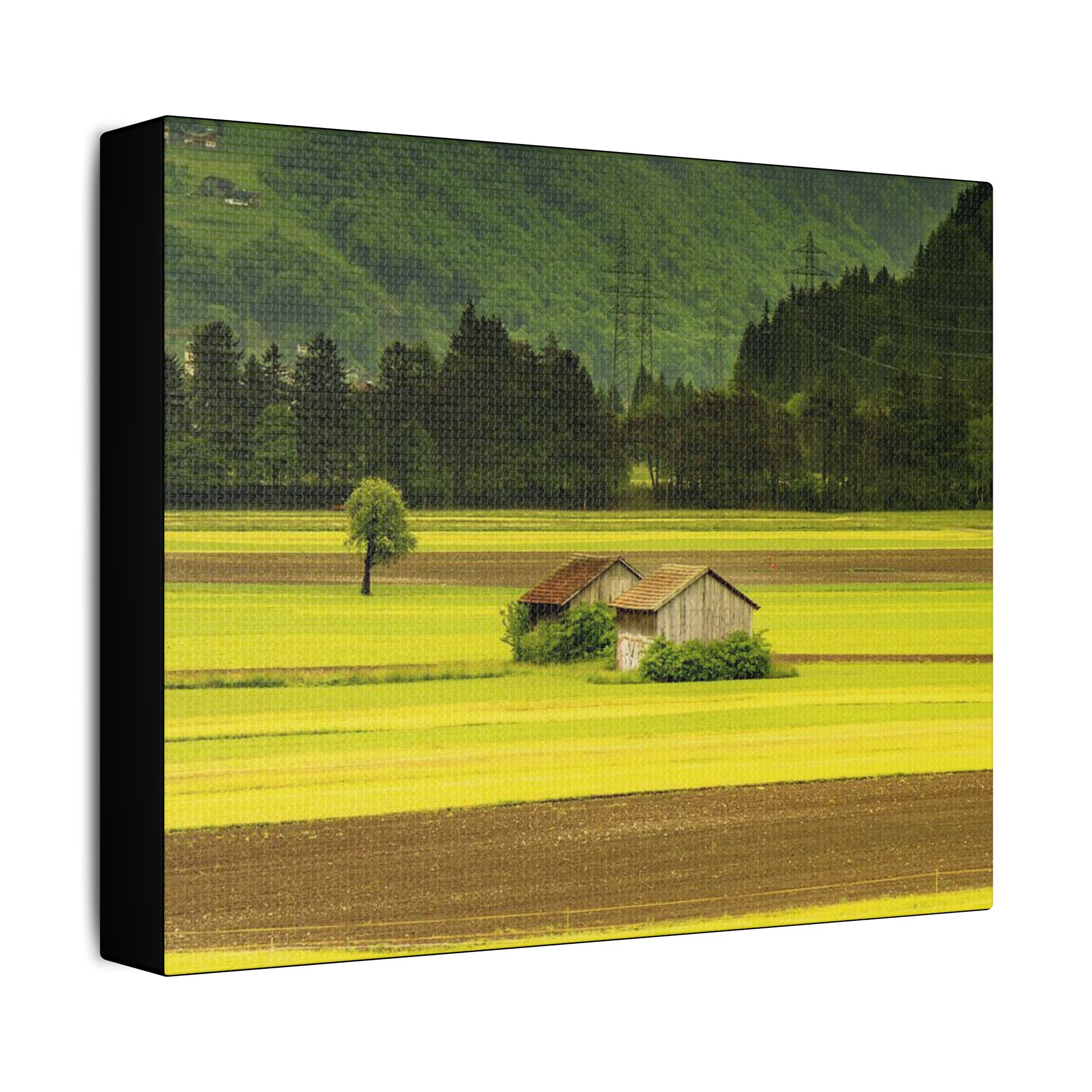 Switzerland Retreat - Image 2