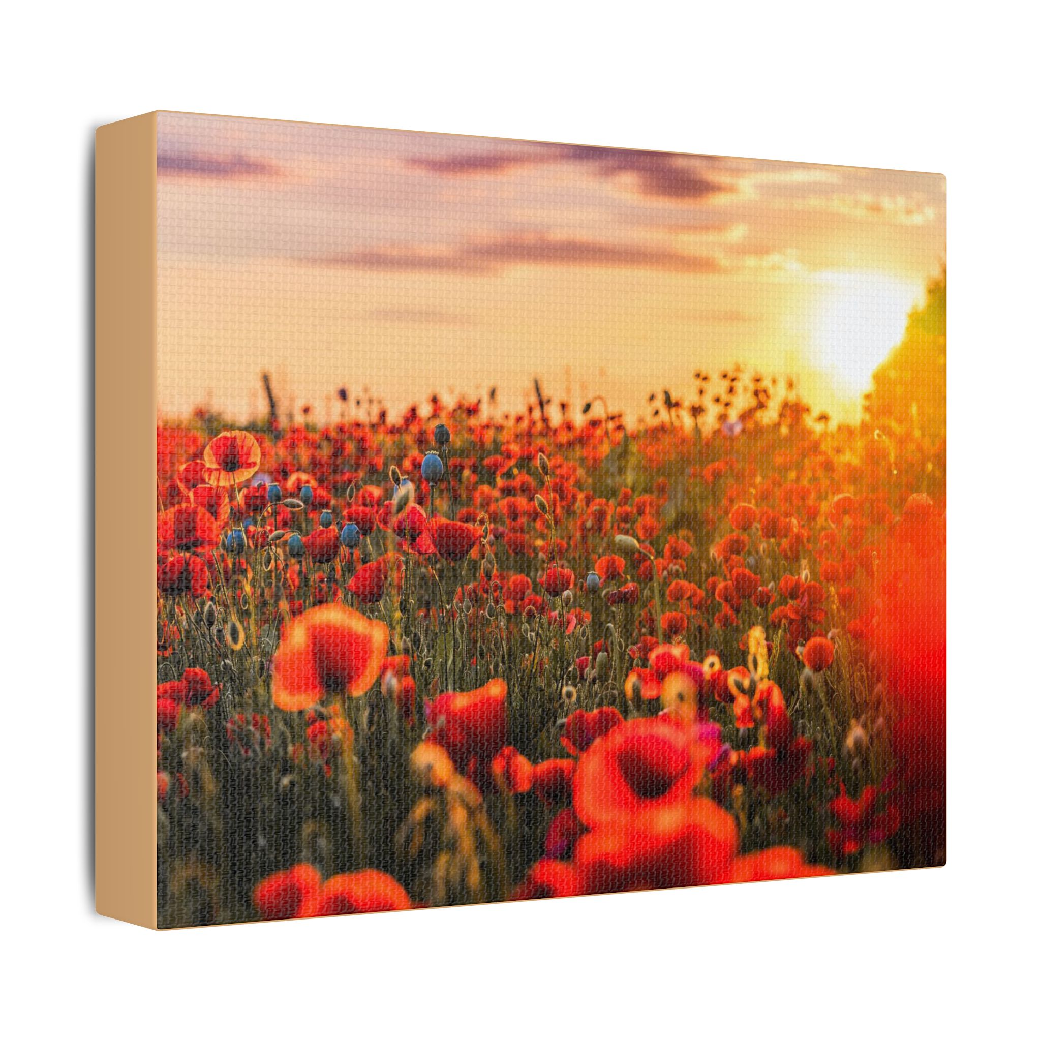 Fields for Remembrance - Image 2