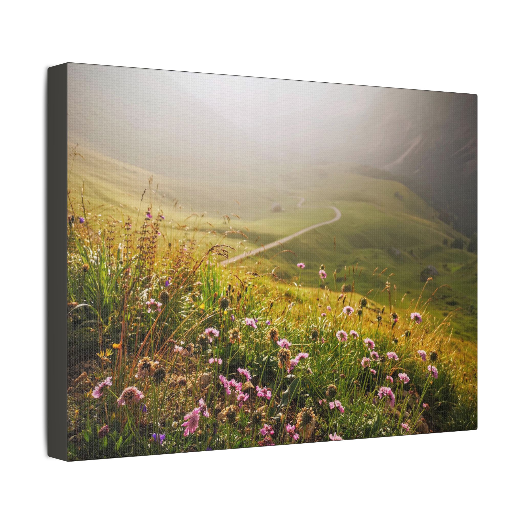 The Path To The Future - Image 10