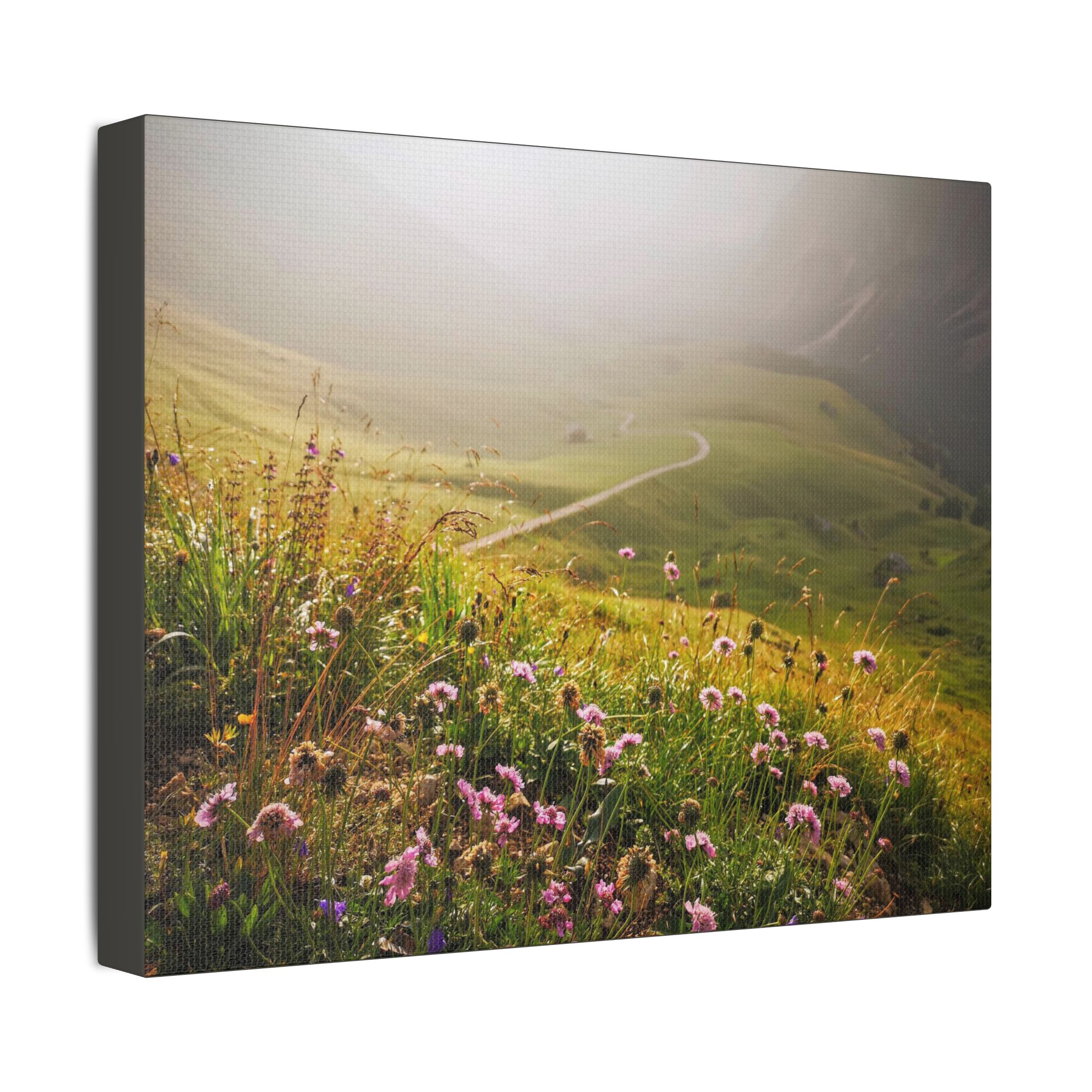 The Path To The Future - Image 6