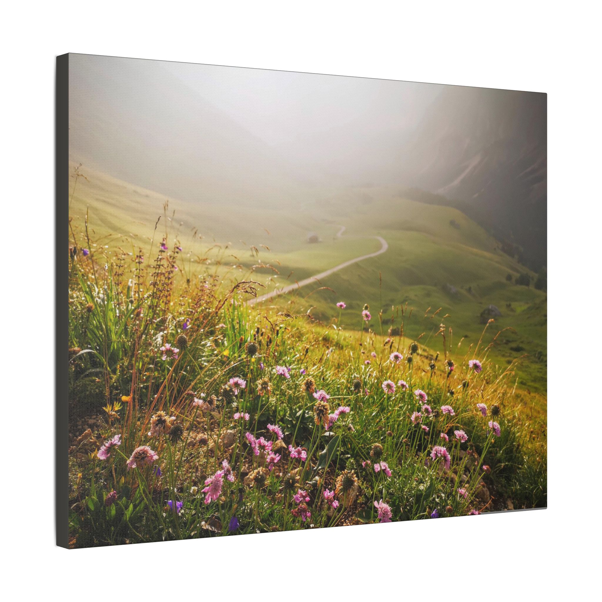 The Path To The Future - Image 18