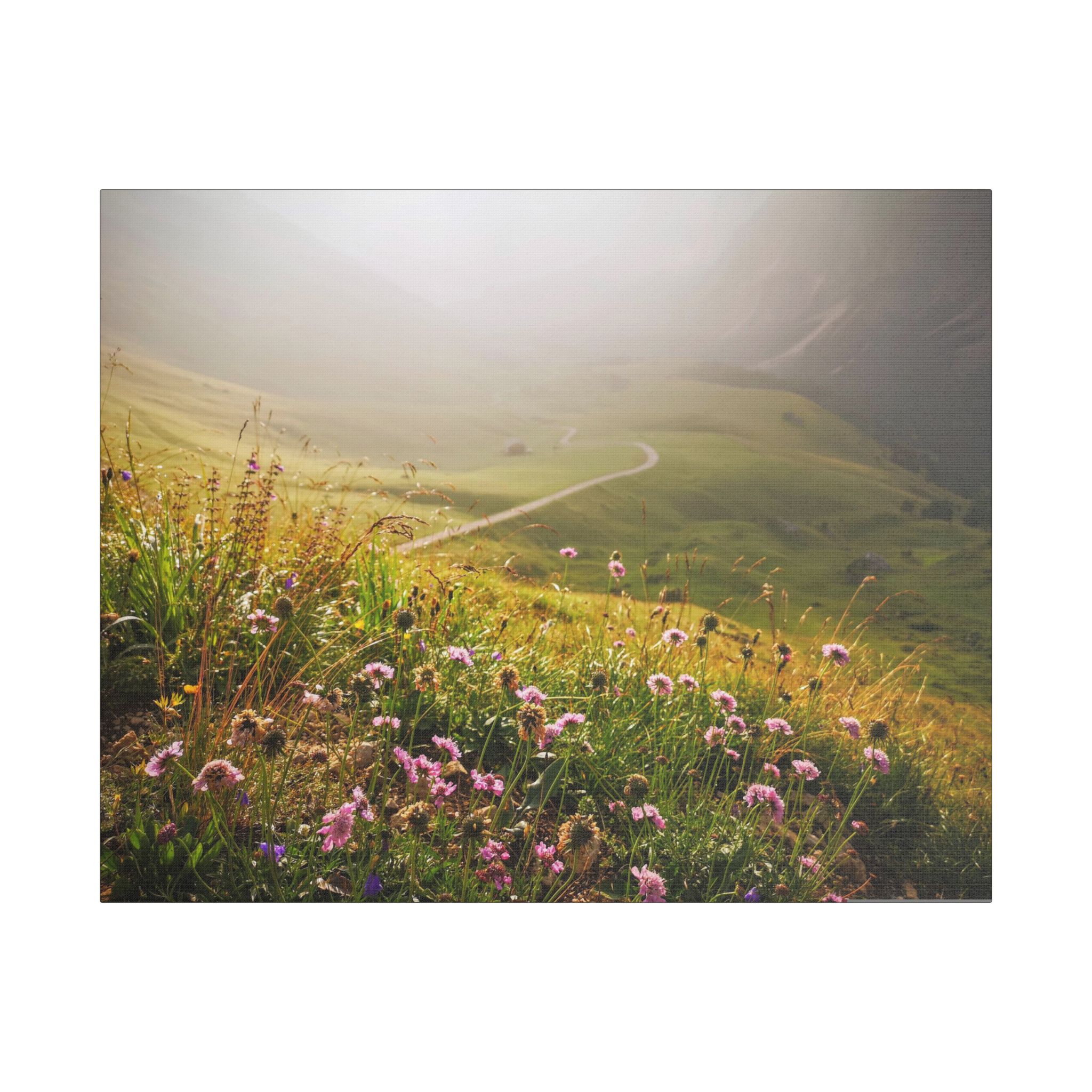 The Path To The Future - Image 17