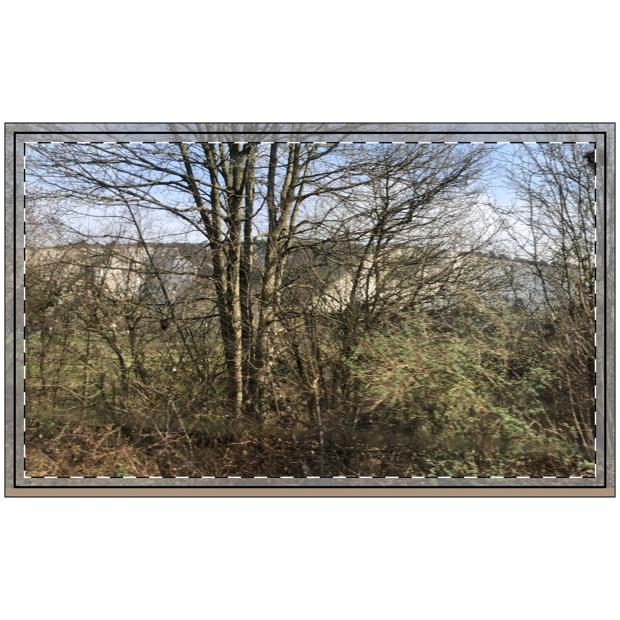 Polyester Doormat - Cliff Through The Trees