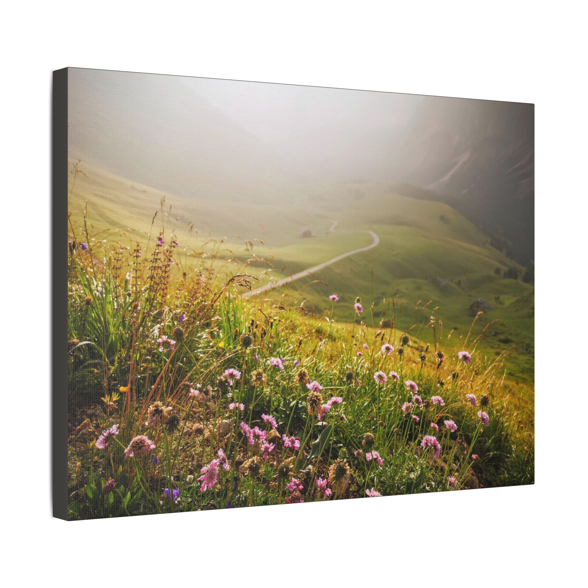 The Path To The Future - Image 14